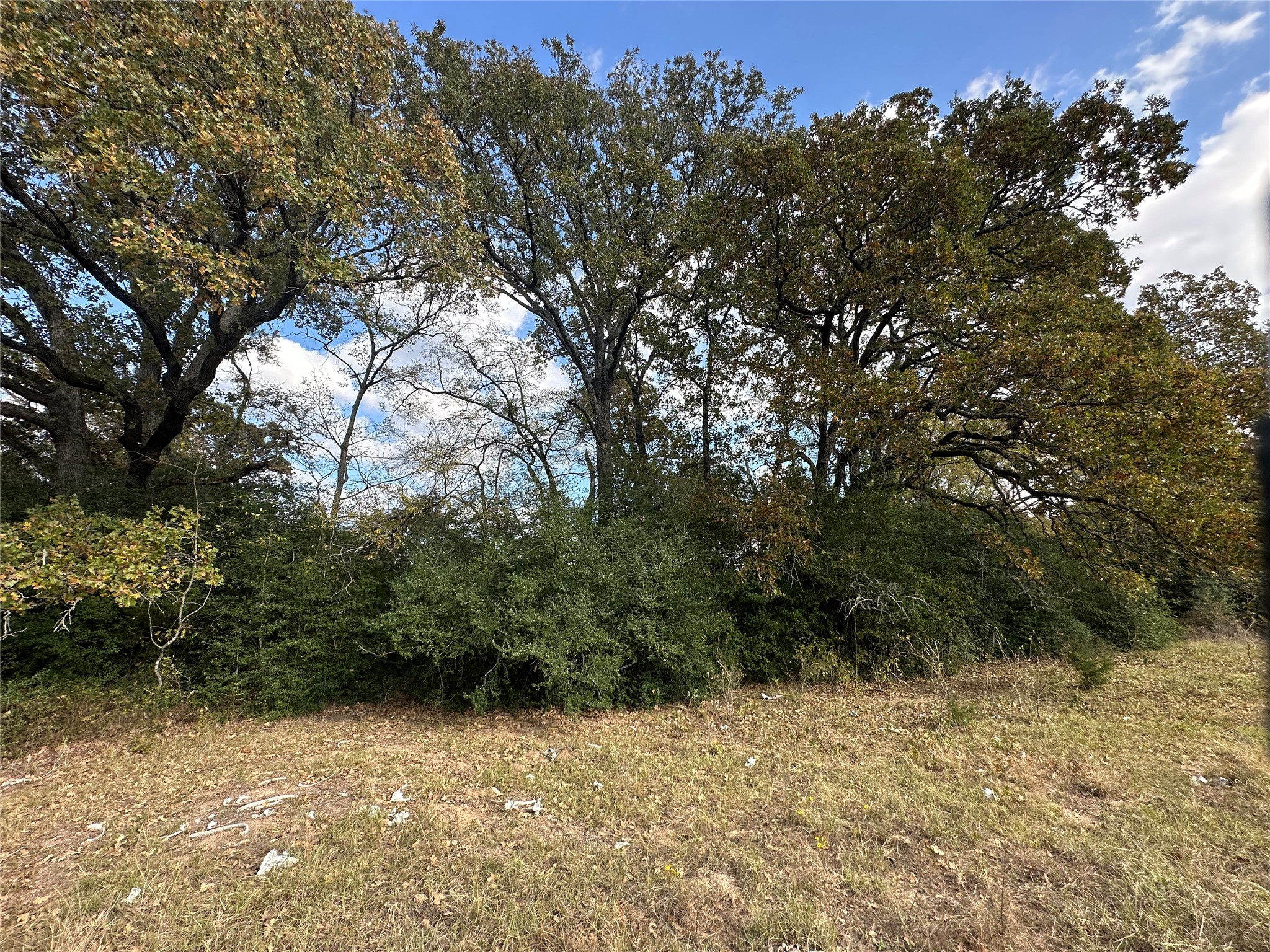 TBD LCR 758, Thornton, TX, 76687