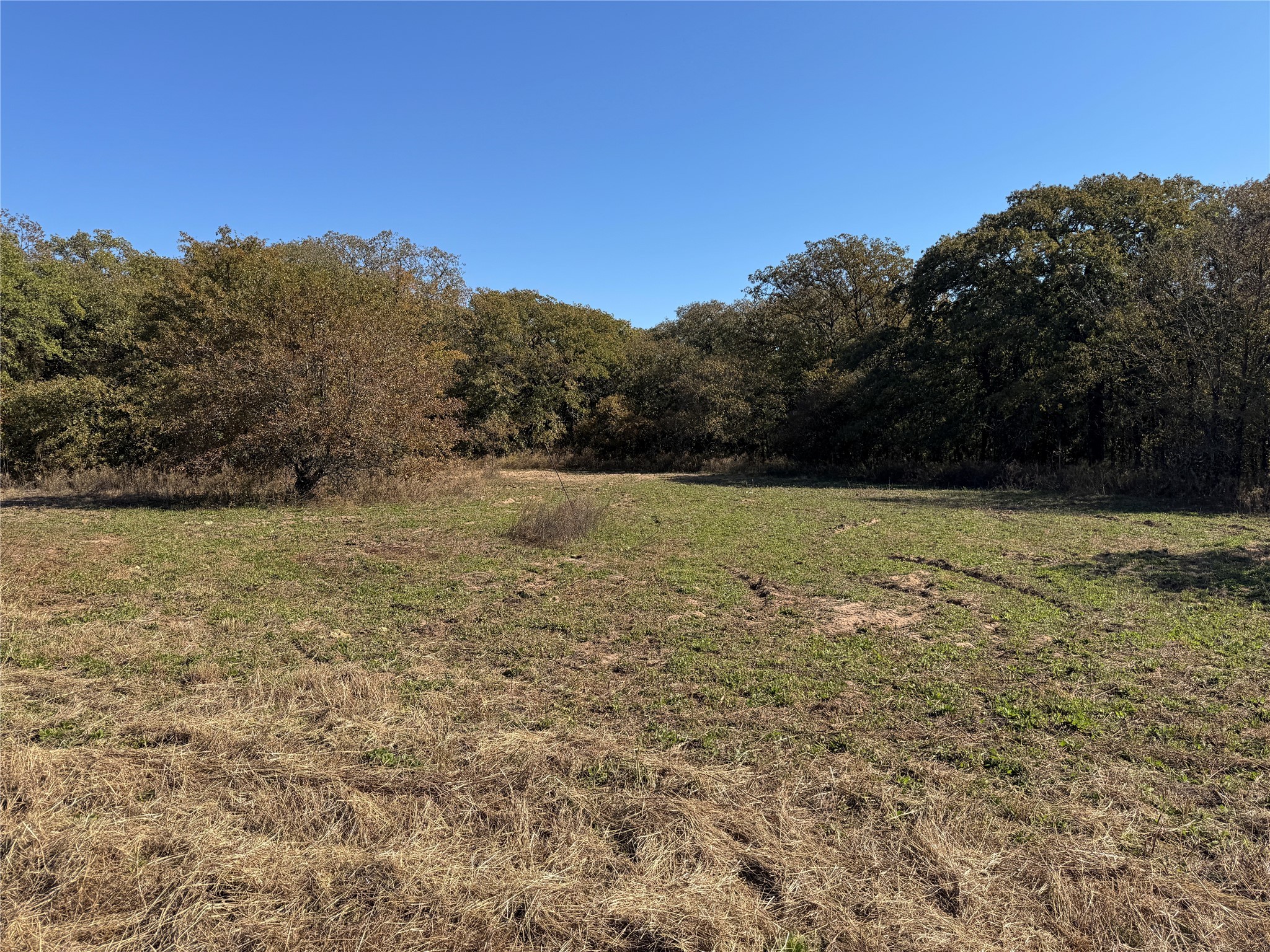 Lot 2 TBD County Road 2798, Alvord, TX, 76225