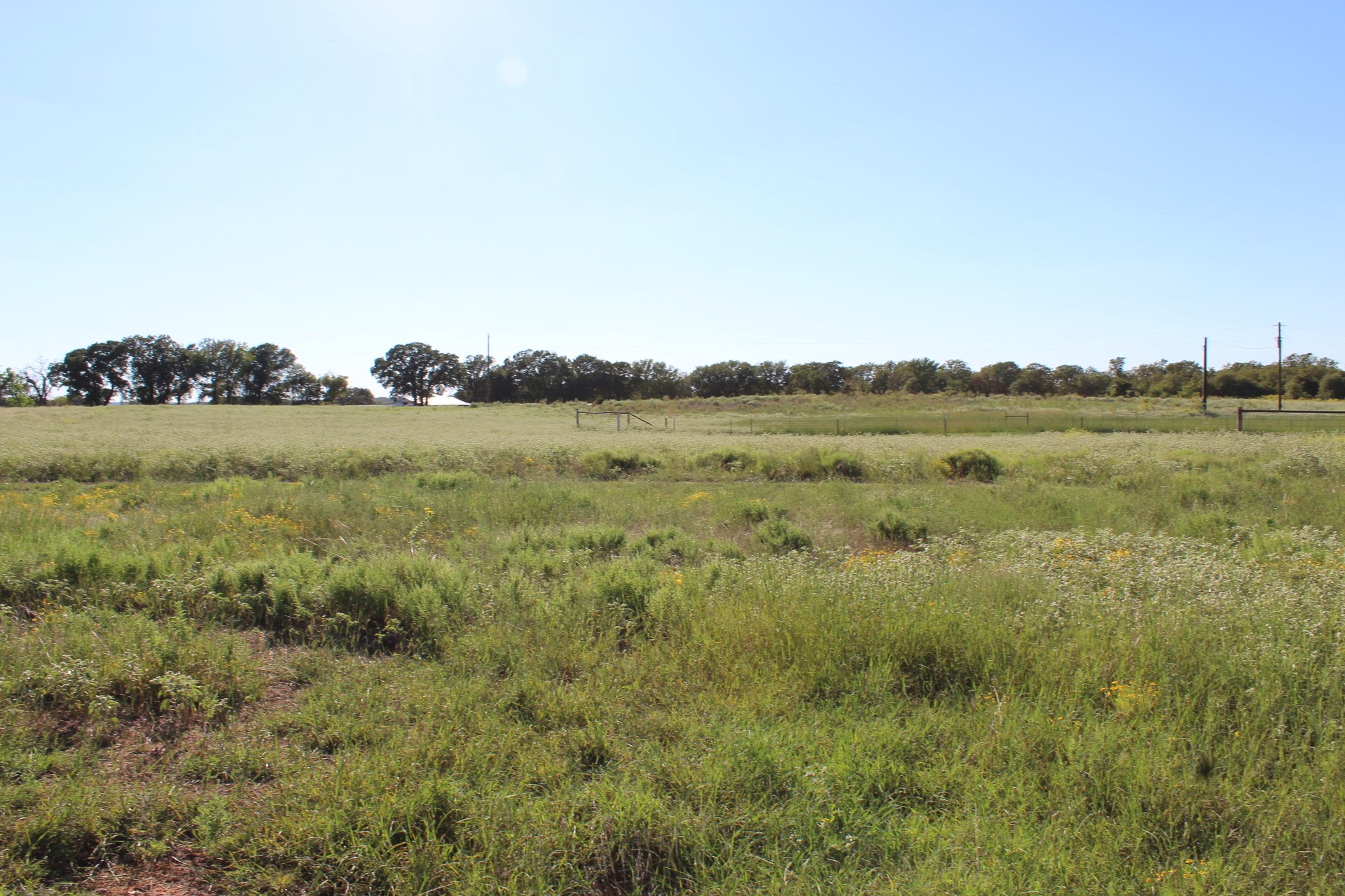 Lot 2 TBD County Road 2798, Alvord, TX, 76225