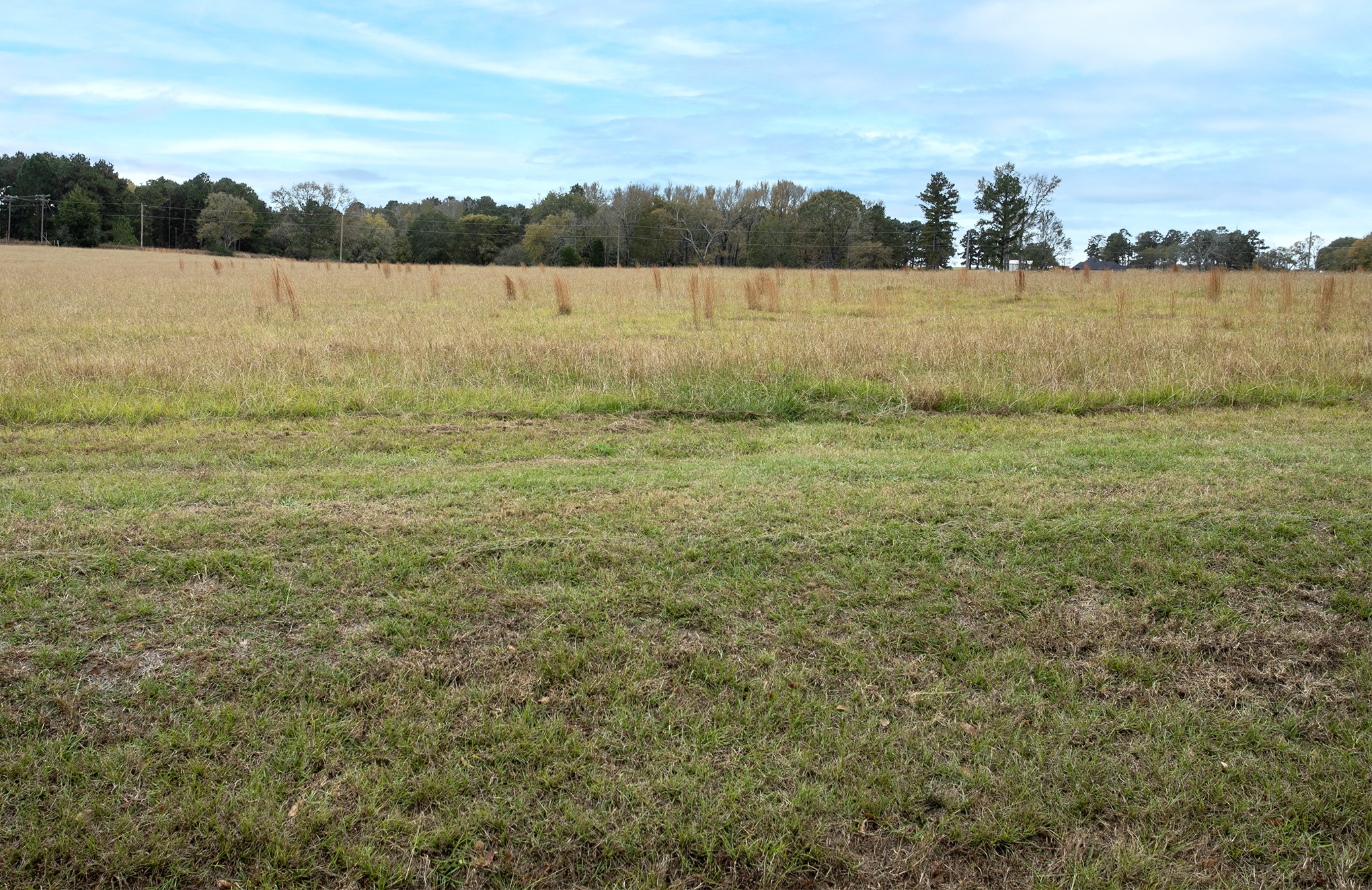 Lt 4 0-TBD FM 1892, Frankston, TX, 75763