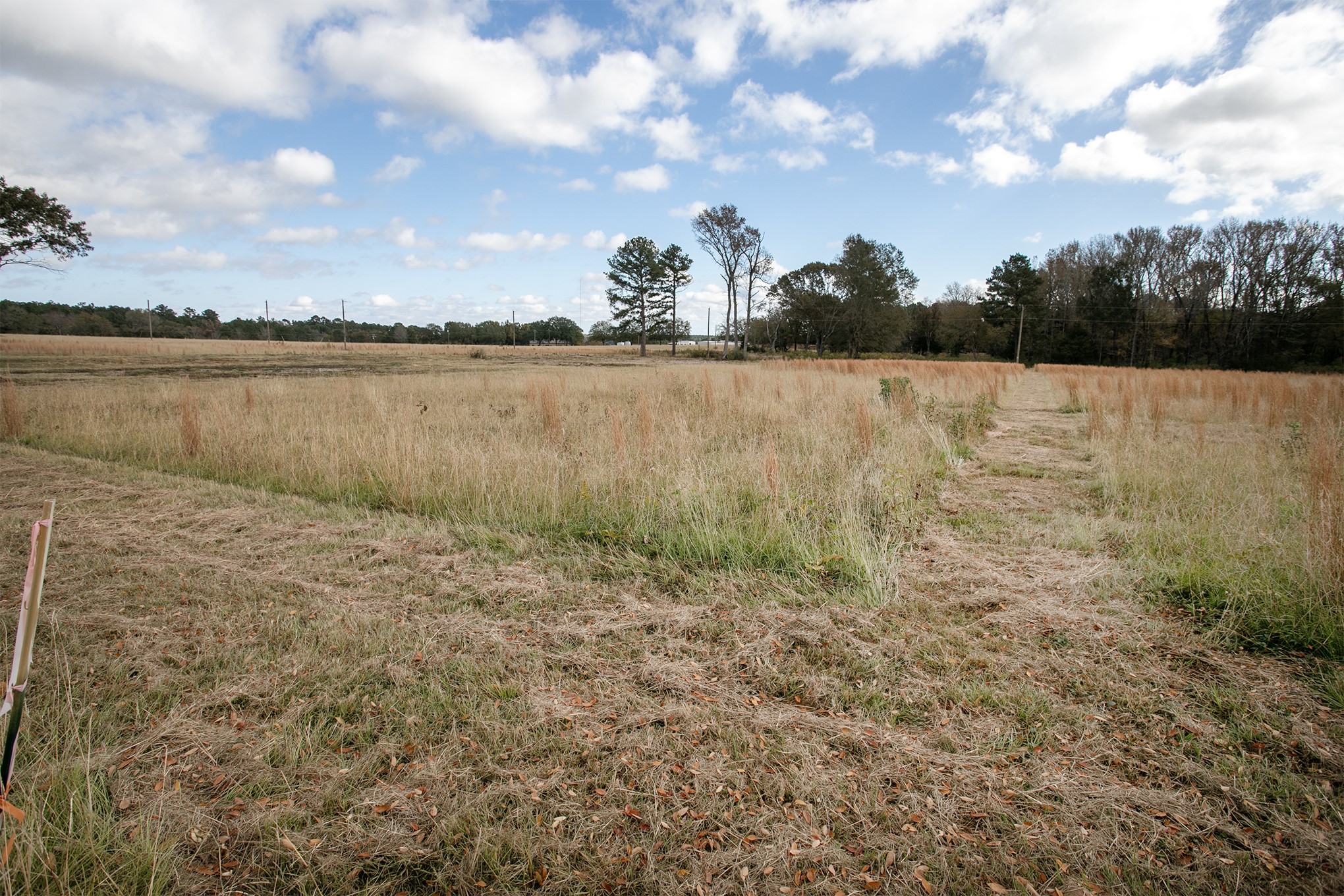 Lt 4 0-TBD FM 1892, Frankston, TX, 75763