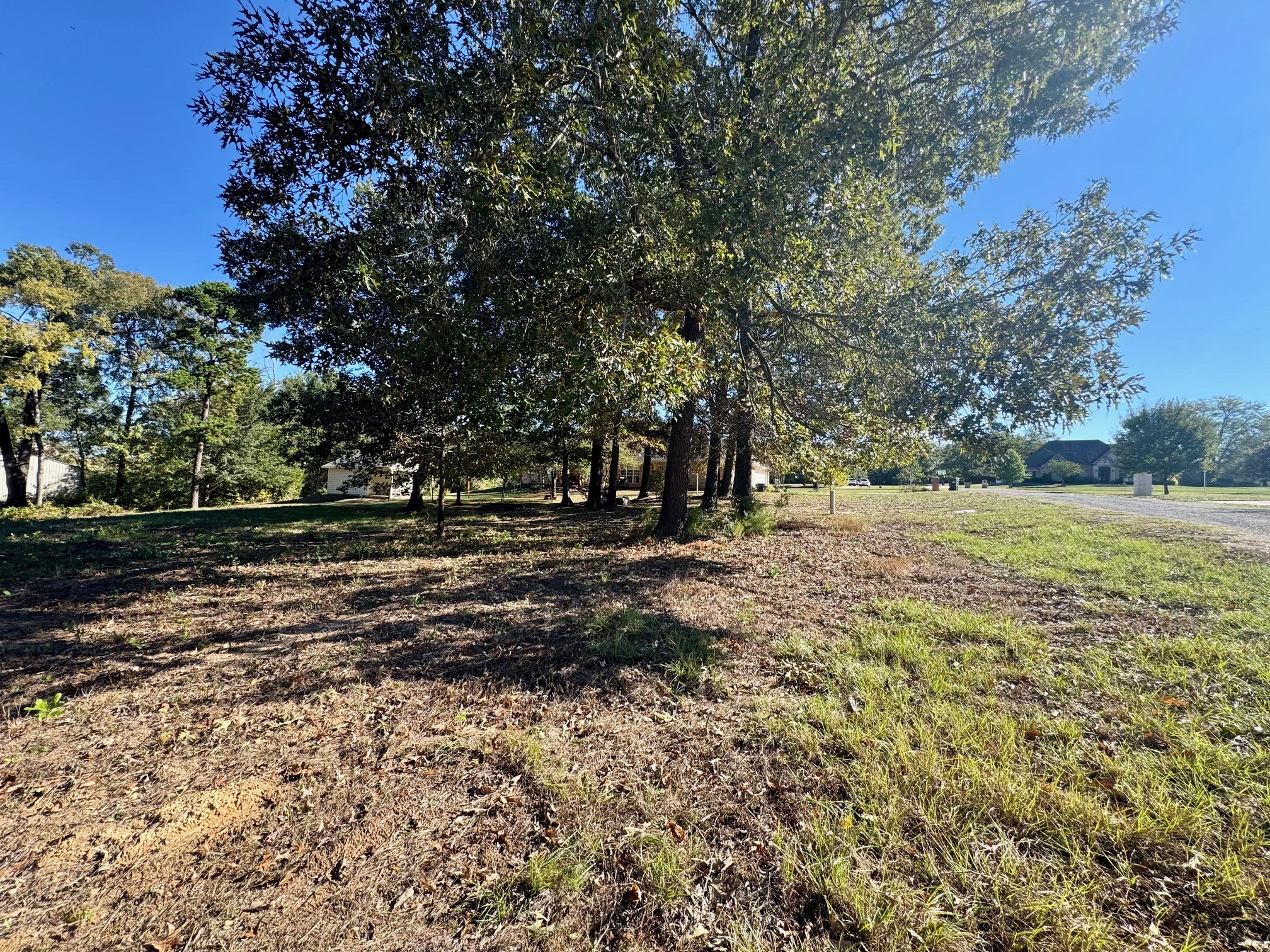 Lot 18 County Road 1216, Pittsburg, TX, 75686