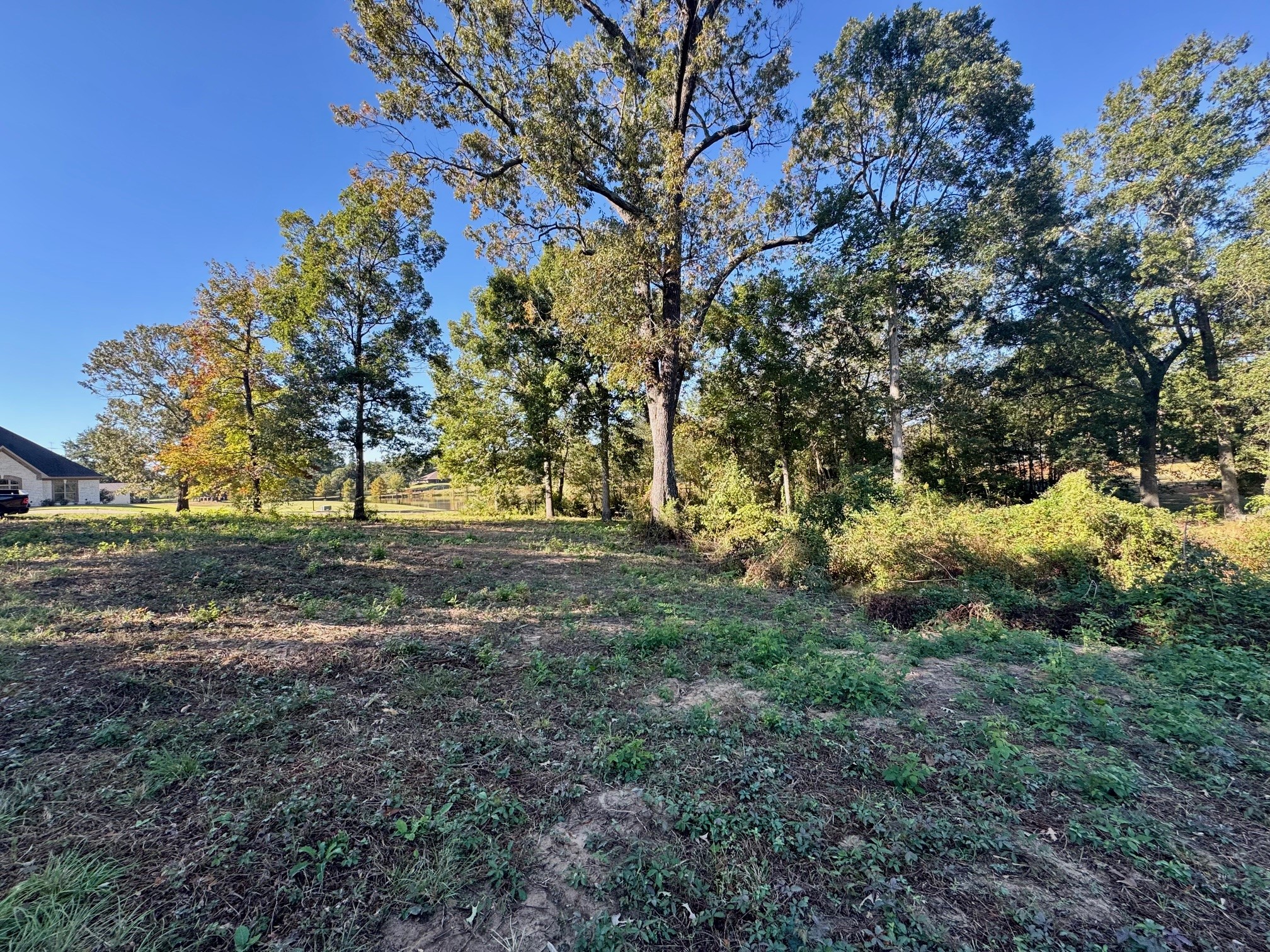 Lot 18 County Road 1216, Pittsburg, TX, 75686