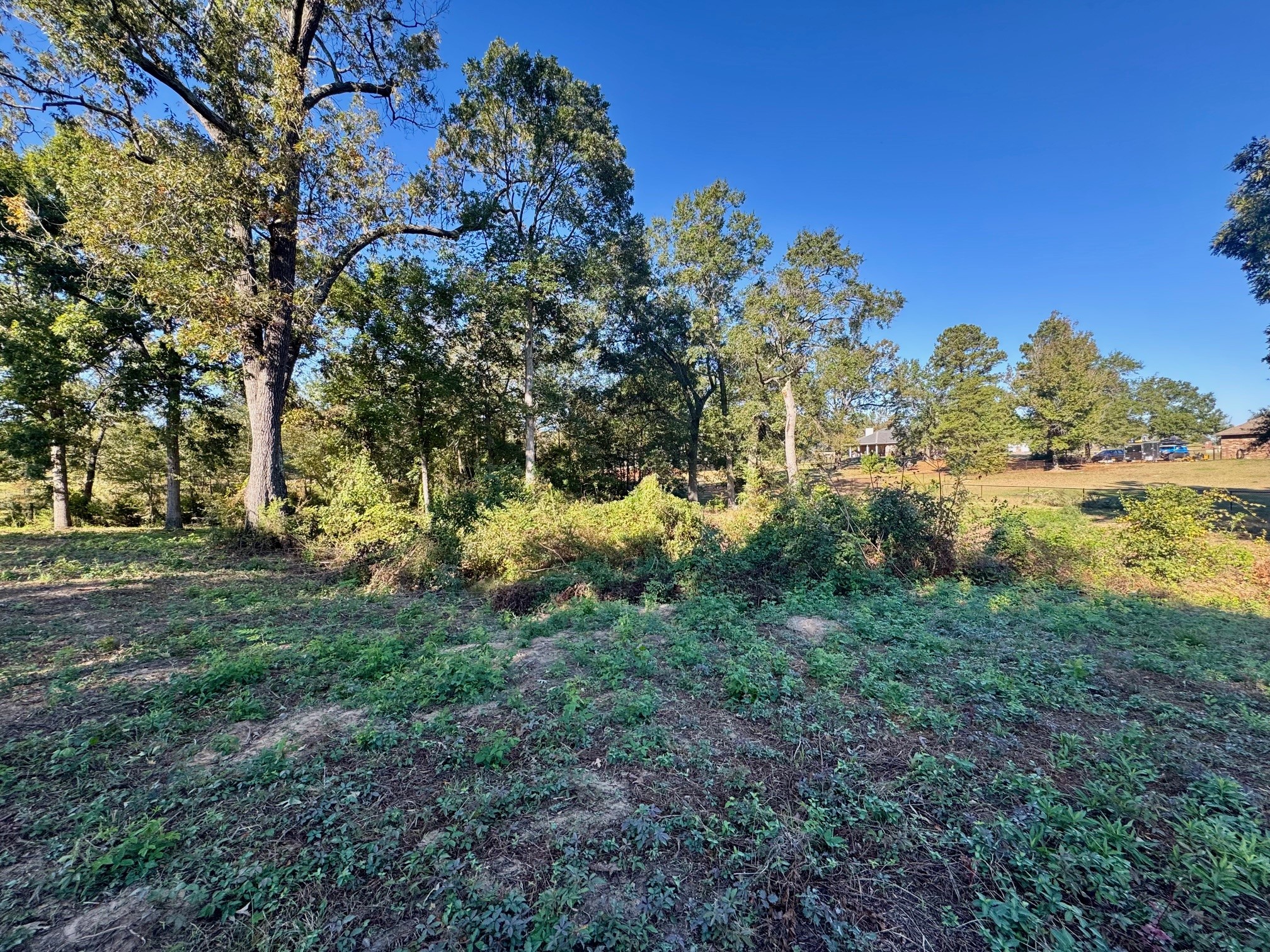 Lot 18 County Road 1216, Pittsburg, TX, 75686