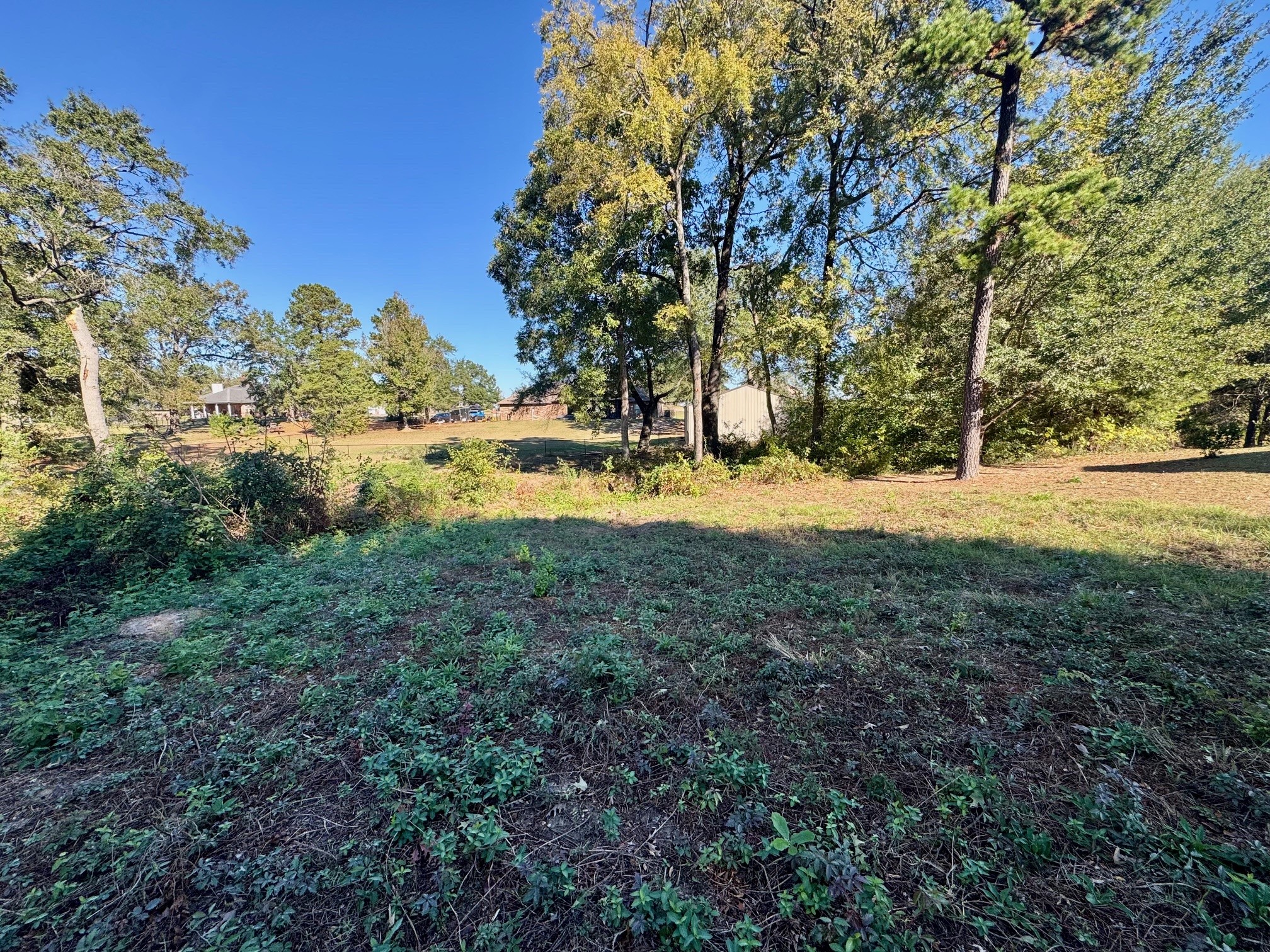 Lot 18 County Road 1216, Pittsburg, TX, 75686