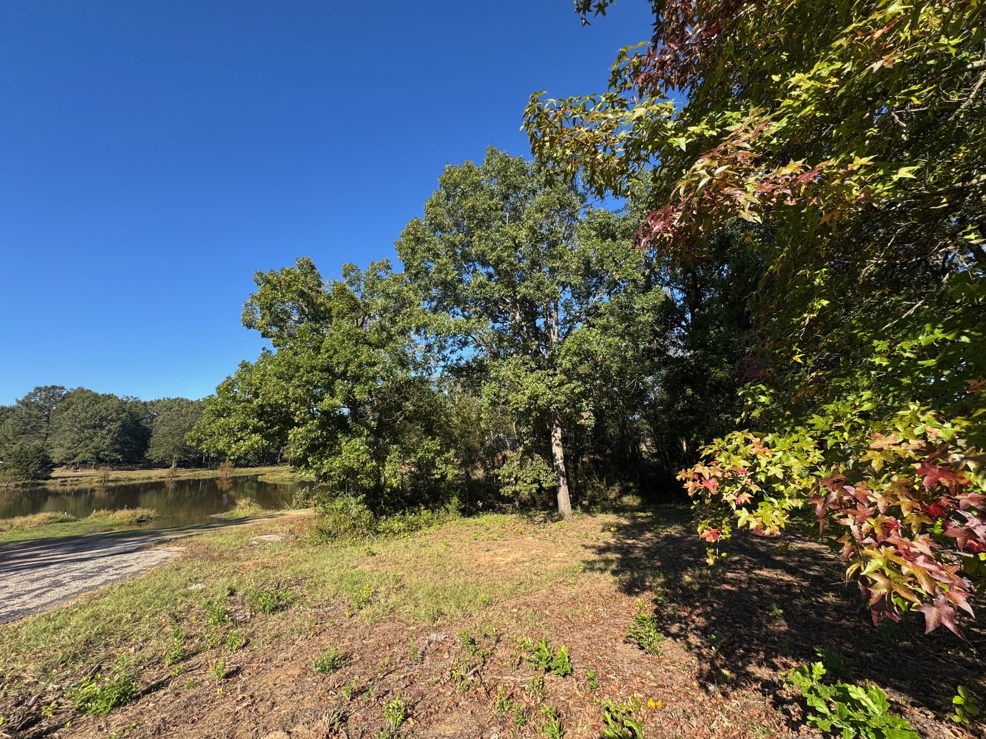 Lot 18 County Road 1216, Pittsburg, TX, 75686