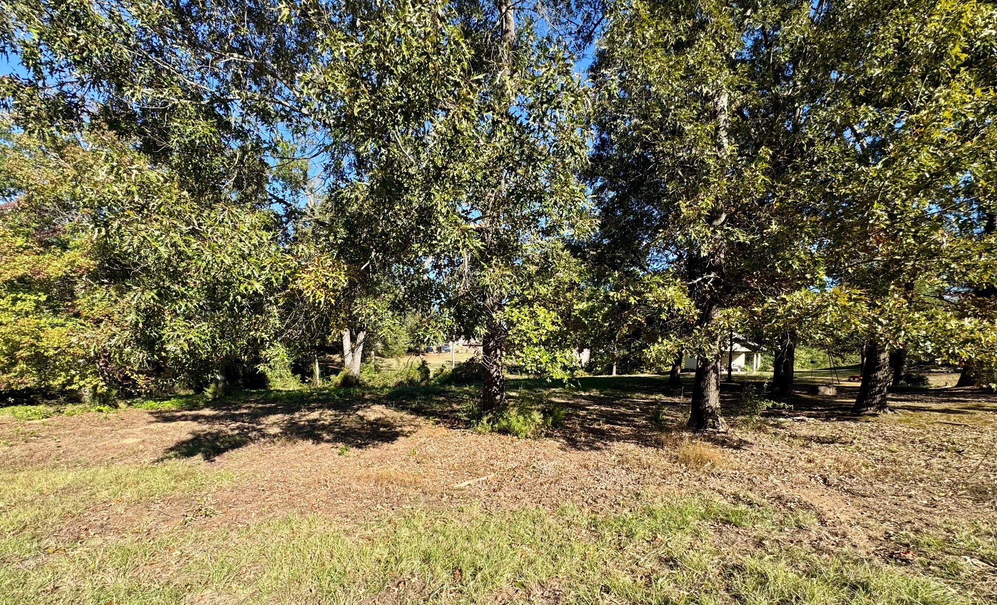 Lot 18 County Road 1216, Pittsburg, TX, 75686