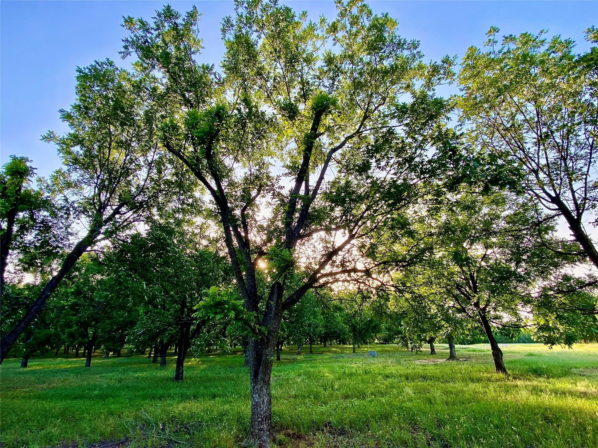 751 County Road 424, Comanche, TX, 76442