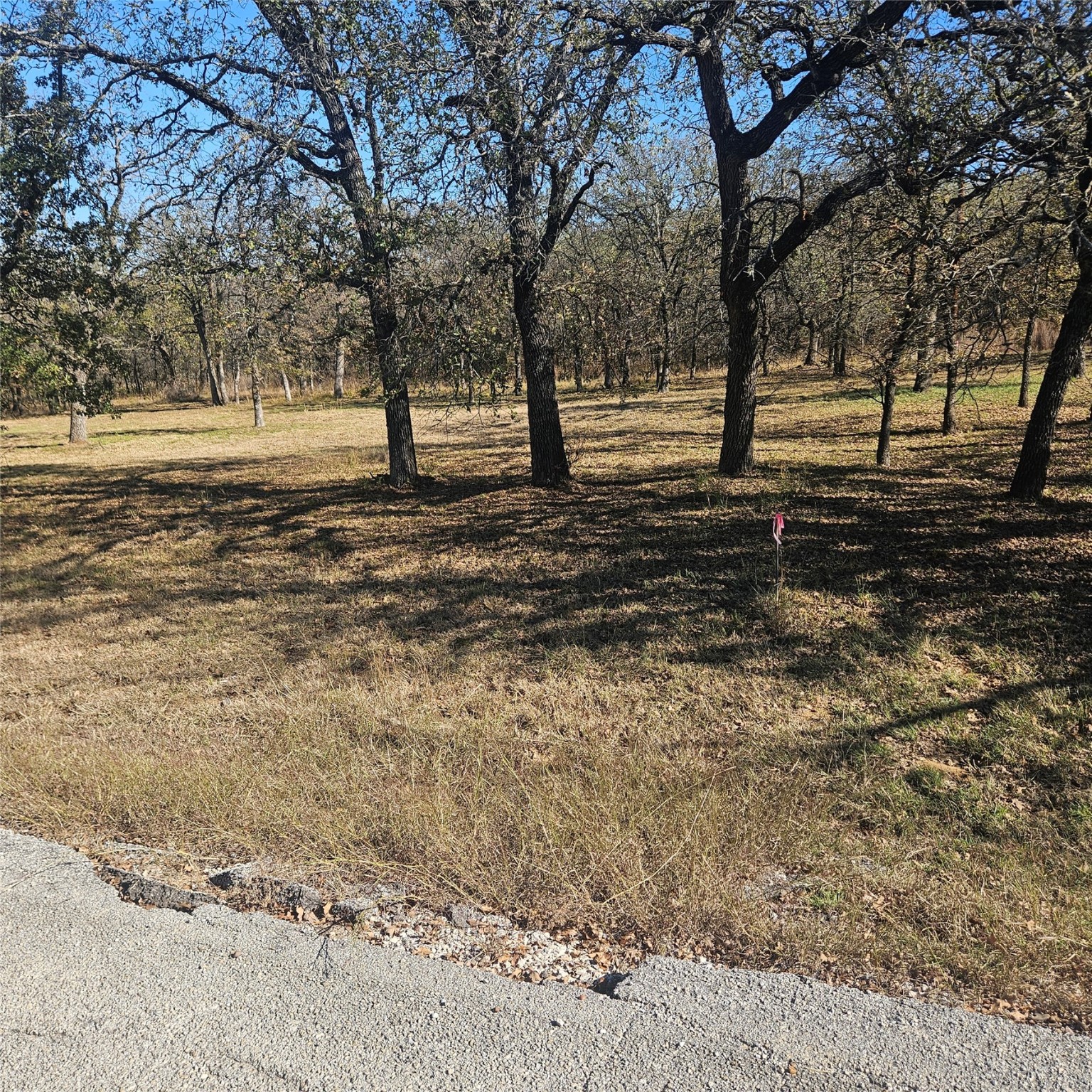 Property photo 02 of 196 Johnston Lane Runaway, Bay, TX 76426 | MLS #21121808