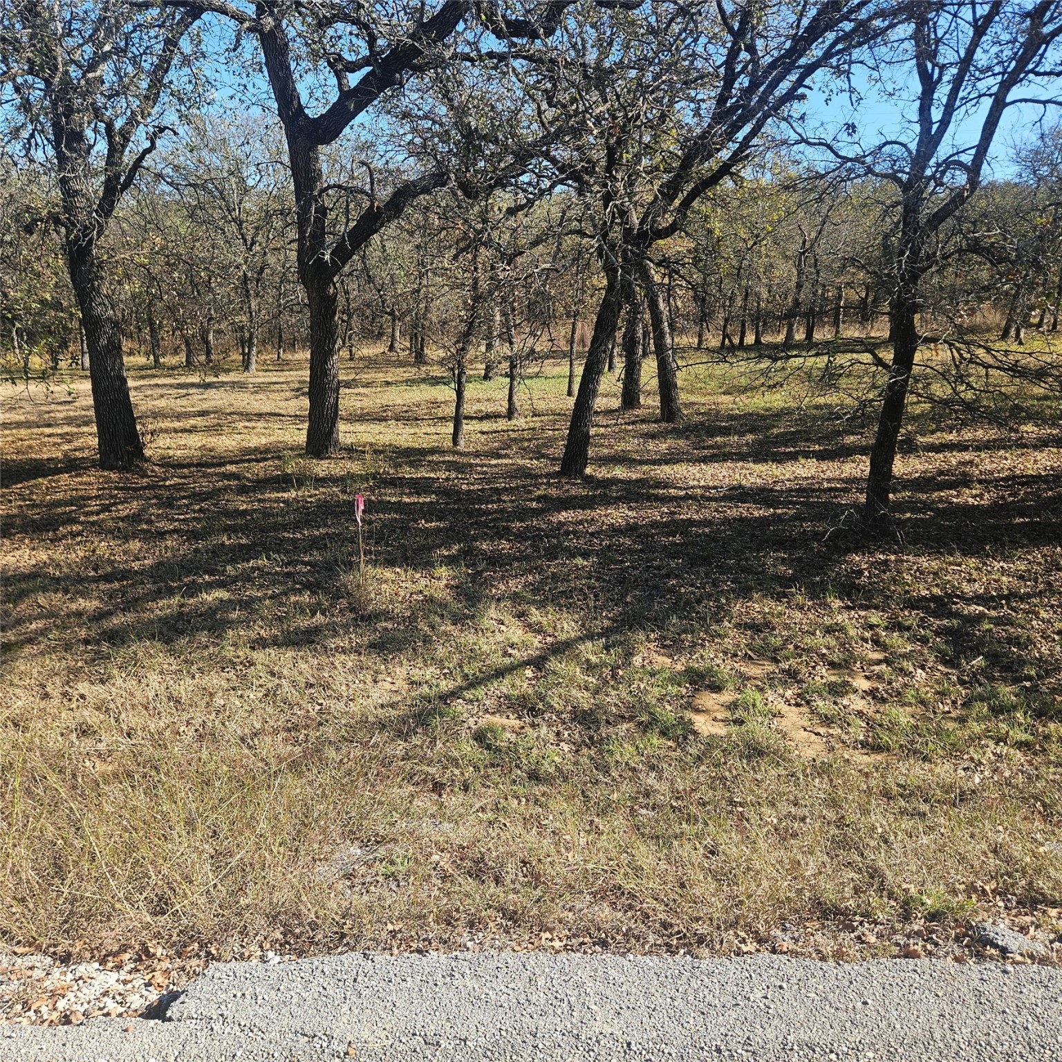 Property photo 03 of 196 Johnston Lane Runaway, Bay, TX 76426 | MLS #21121808