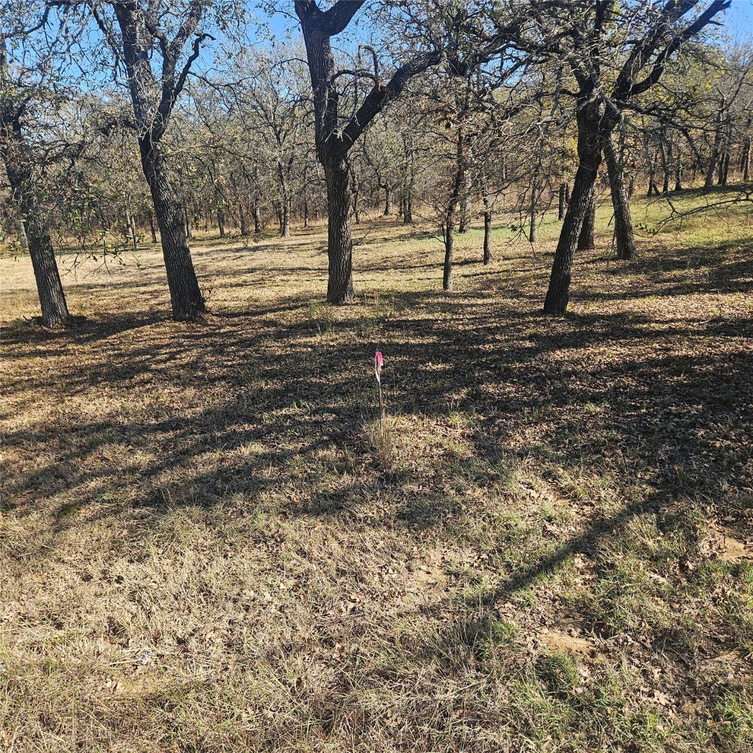 196 Johnston Lane, Runaway Bay, TX, 76426