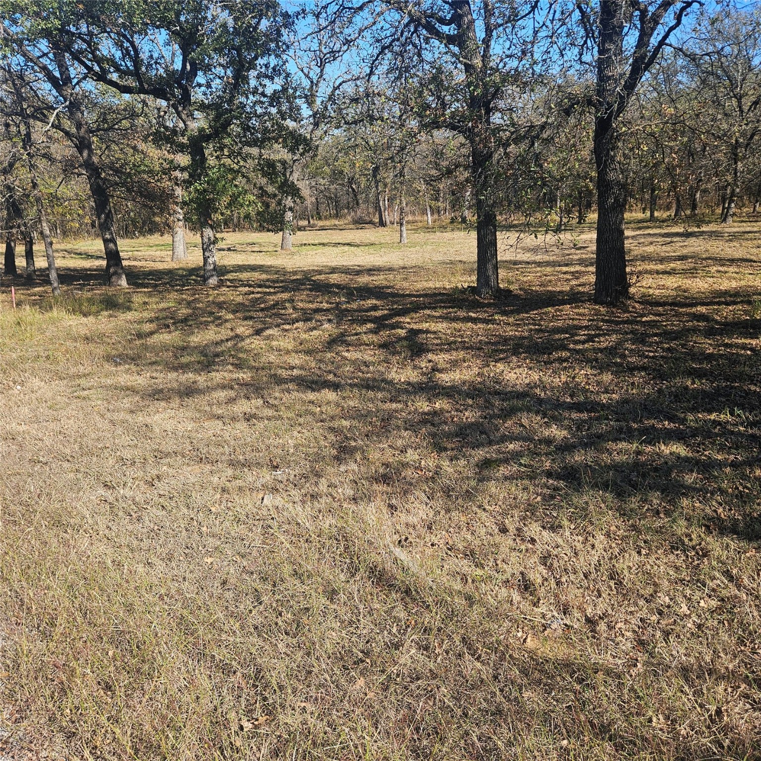 196 Johnston Lane, Runaway Bay, TX, 76426