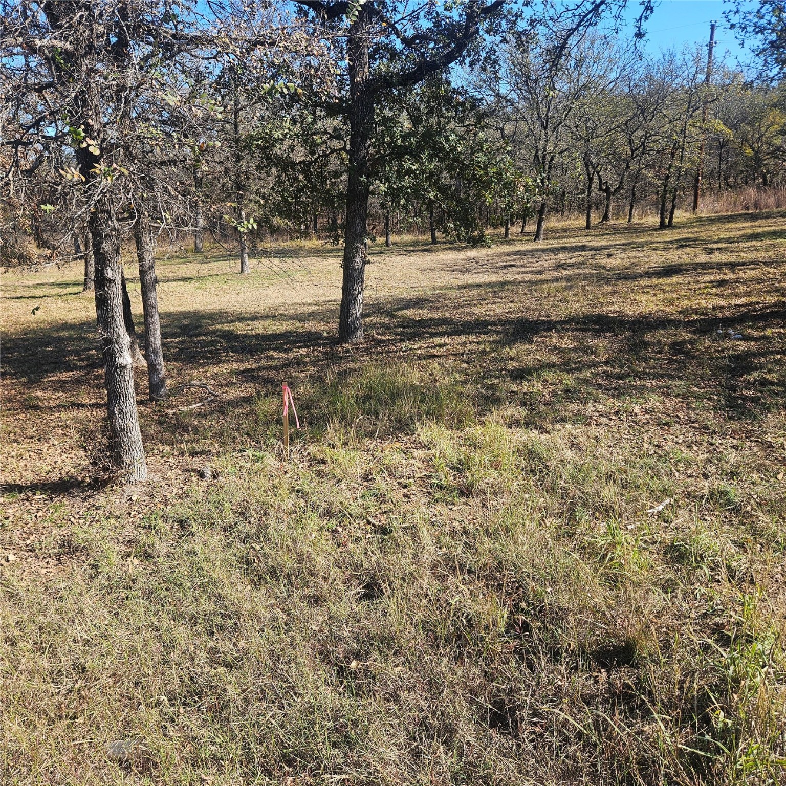 196 Johnston Lane, Runaway Bay, TX, 76426
