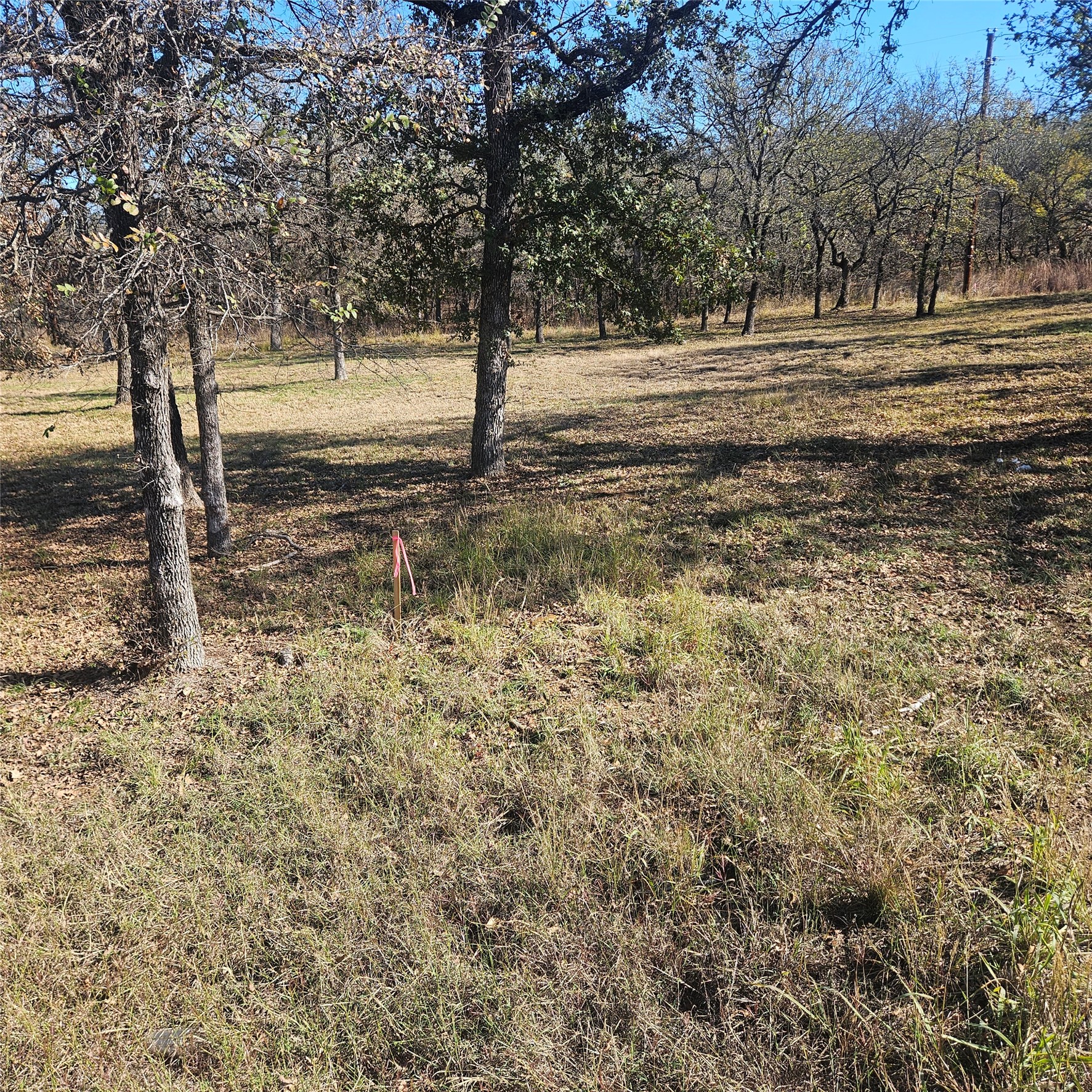 196 Johnston Lane, Runaway Bay, TX, 76426
