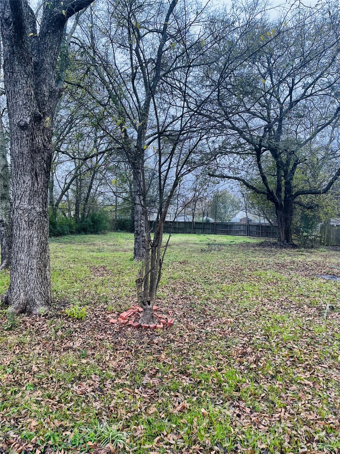 Property photo 04 of 555 N 1st Street, Point, TX 75472 | MLS #21122075