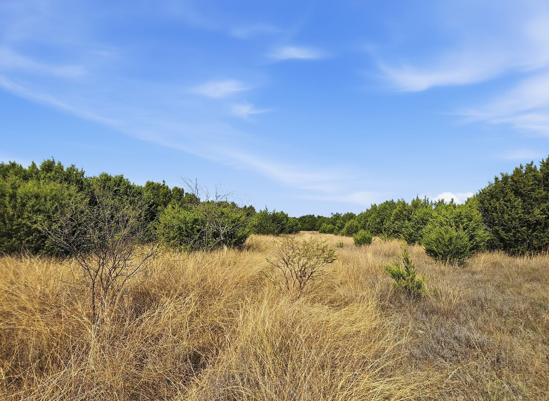 Lot 25 & 26 Ph 4 PR 4212, Evant, TX, 76525