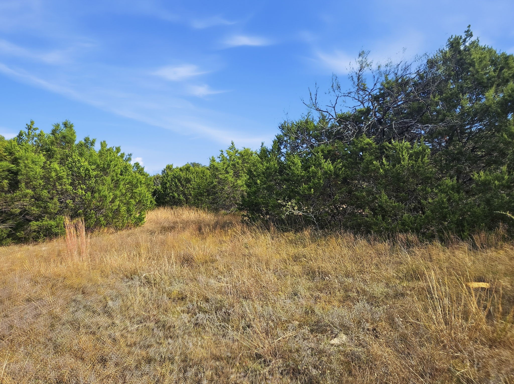Lot 25 & 26 Ph 4 PR 4212, Evant, TX, 76525