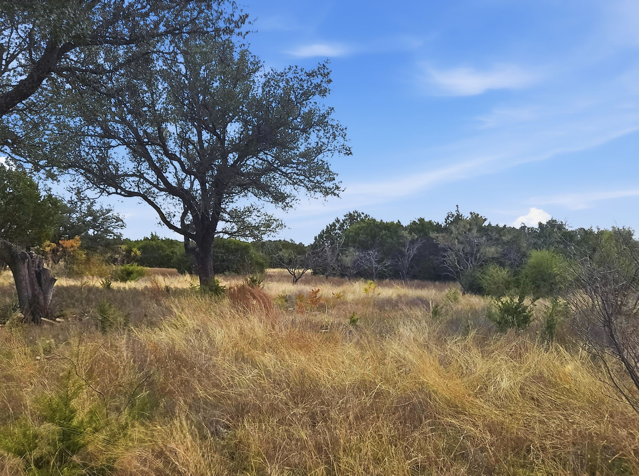 Lot 25 & 26 Ph 4 PR 4212, Evant, TX, 76525
