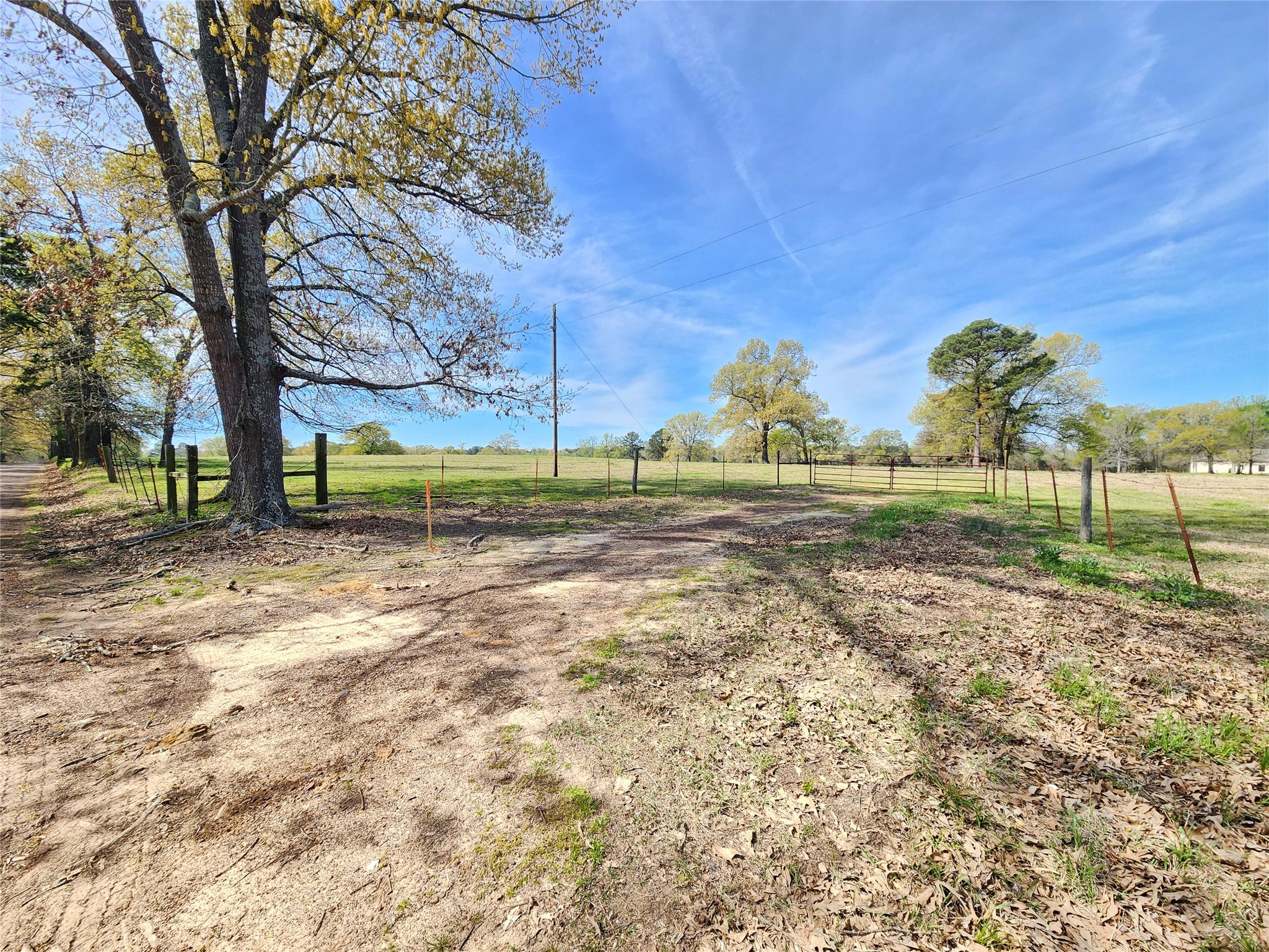 Property photo 01 of LOT 2 Nandena Road, Gilmer, TX 75644 | MLS #21122803
