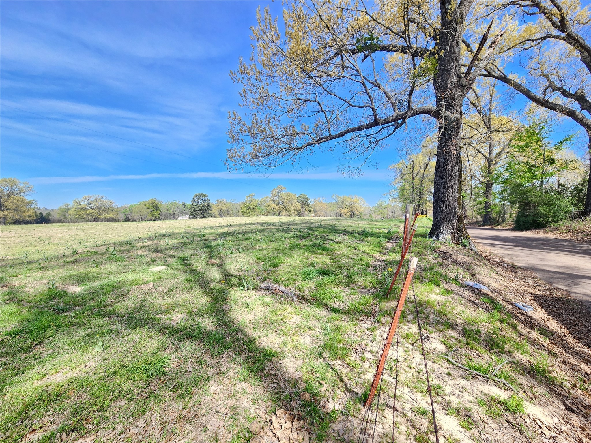 Property photo 04 of LOT 2 Nandena Road, Gilmer, TX 75644 | MLS #21122803