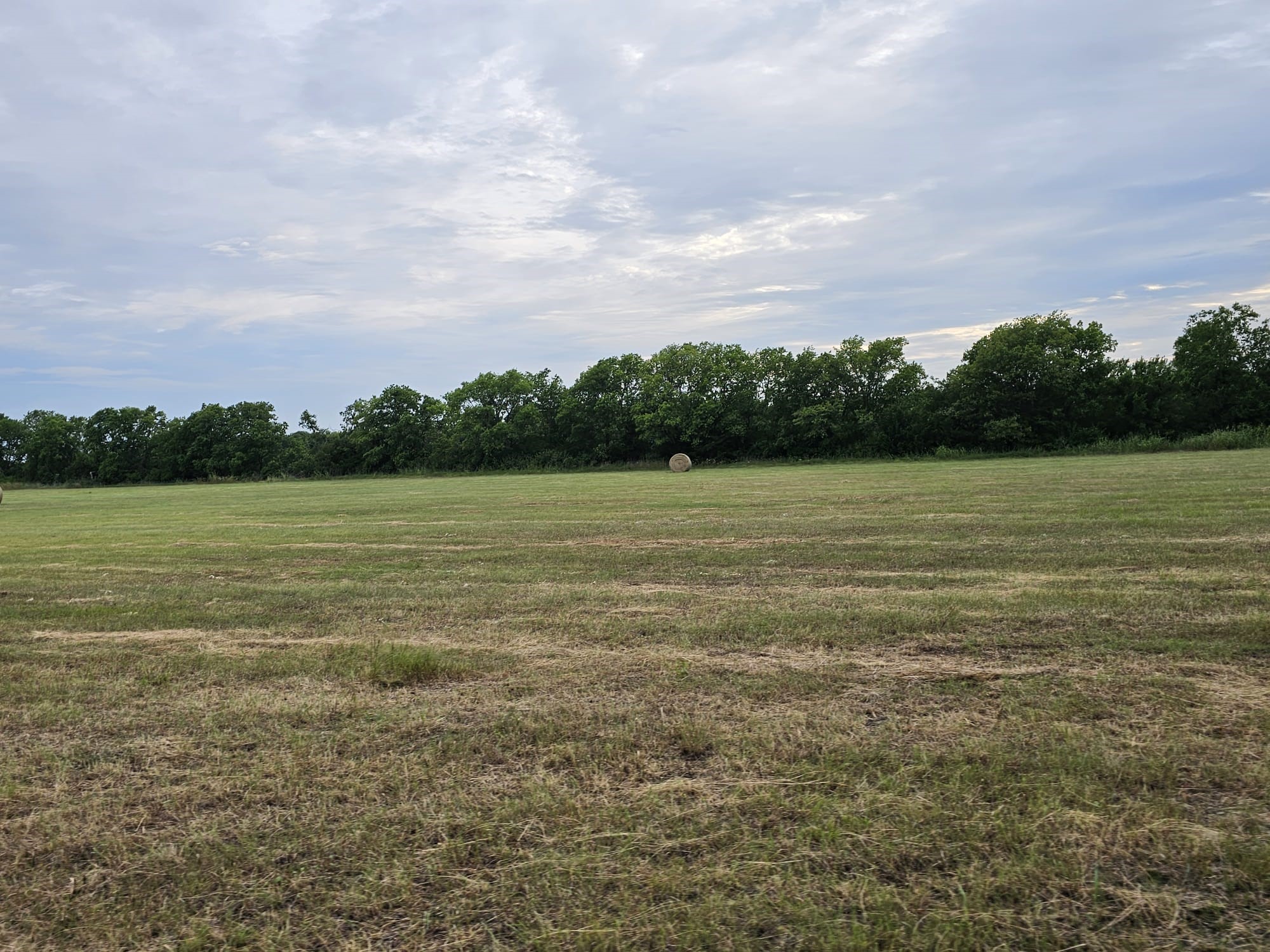 Property photo 04 of 42Acres FM 38 TX Honey, Grove, TX 75446 | MLS #21124103