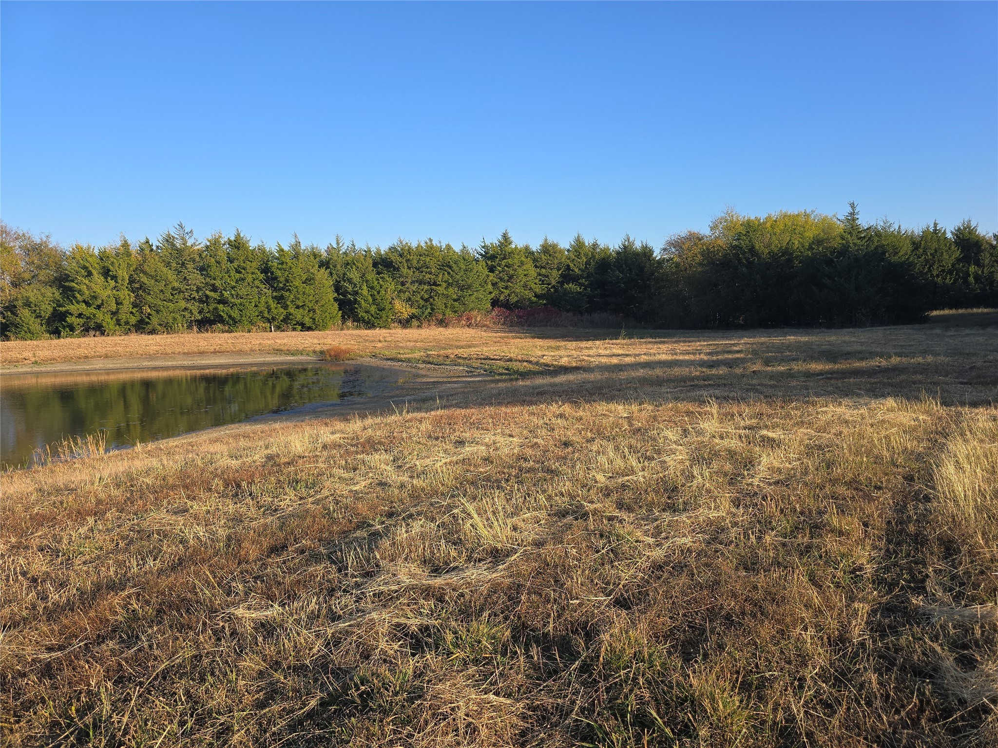 42Acres FM 38 TX, Honey Grove, TX, 75446
