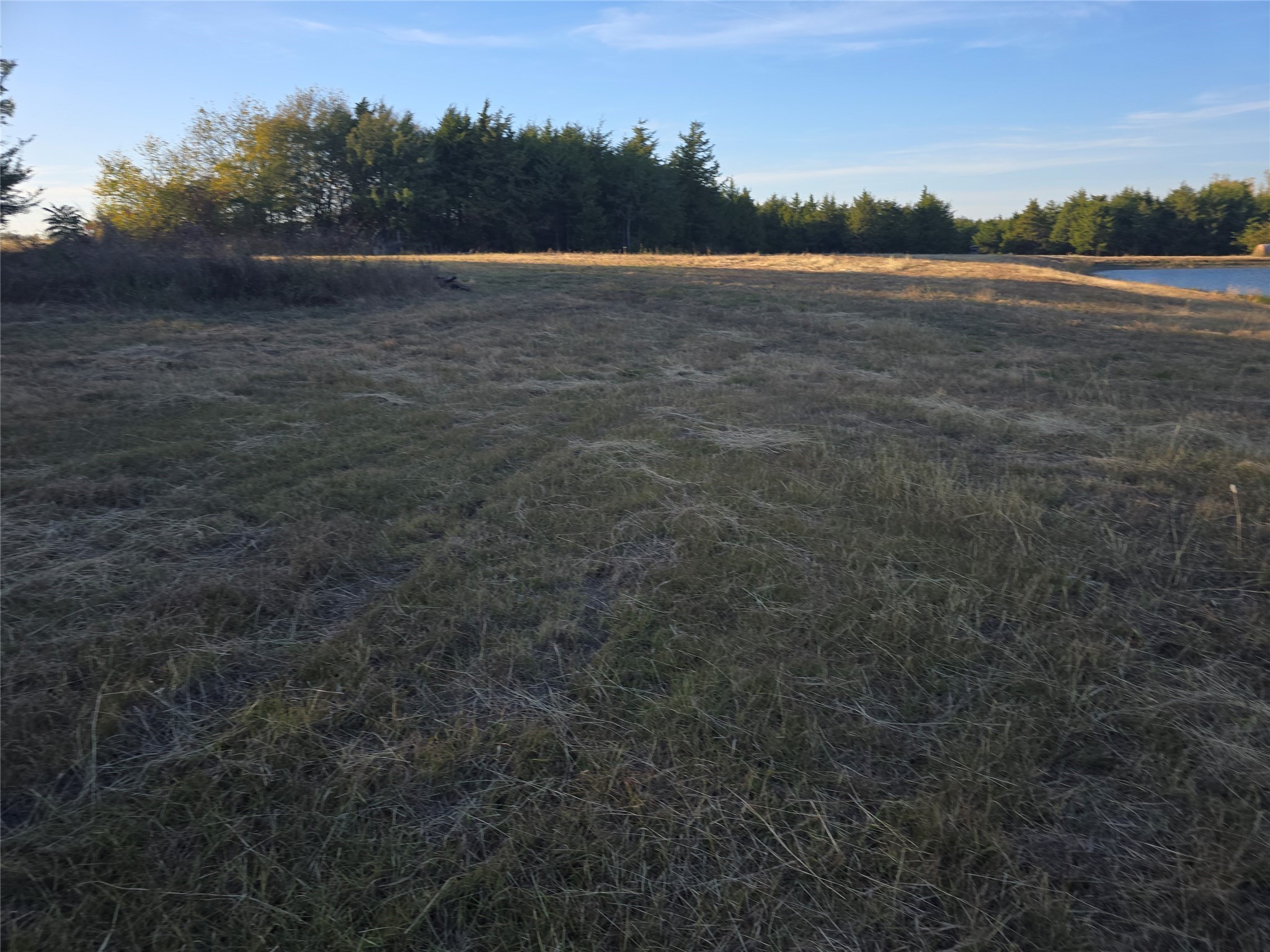 42Acres FM 38 TX, Honey Grove, TX, 75446