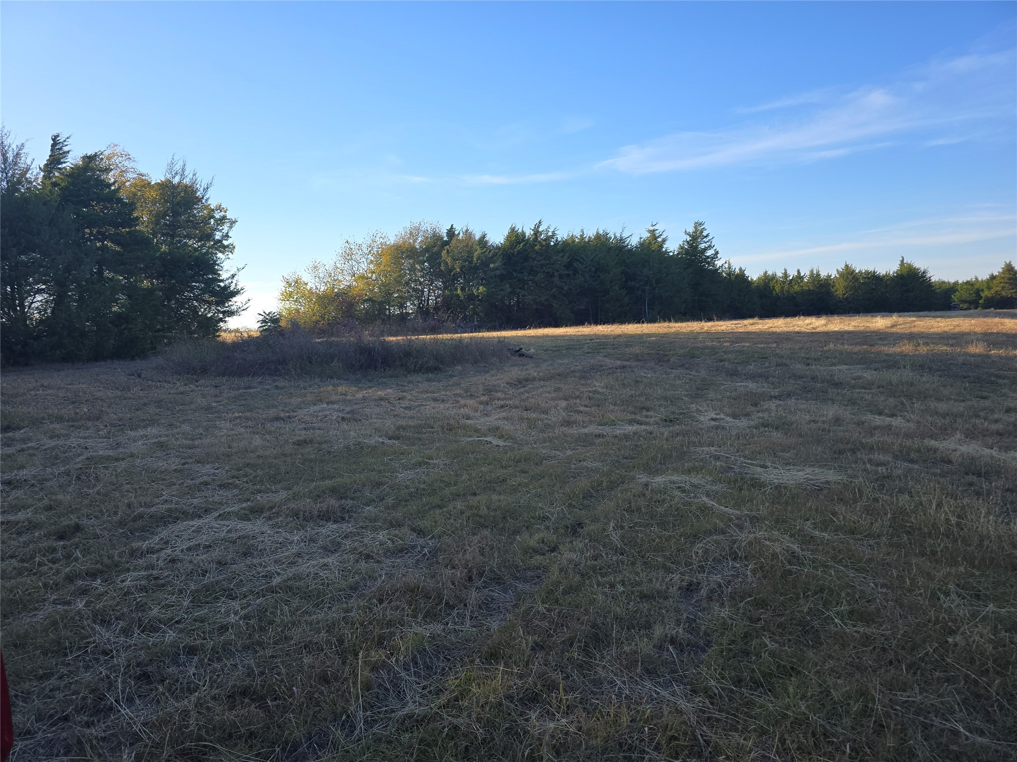 42Acres FM 38 TX, Honey Grove, TX, 75446