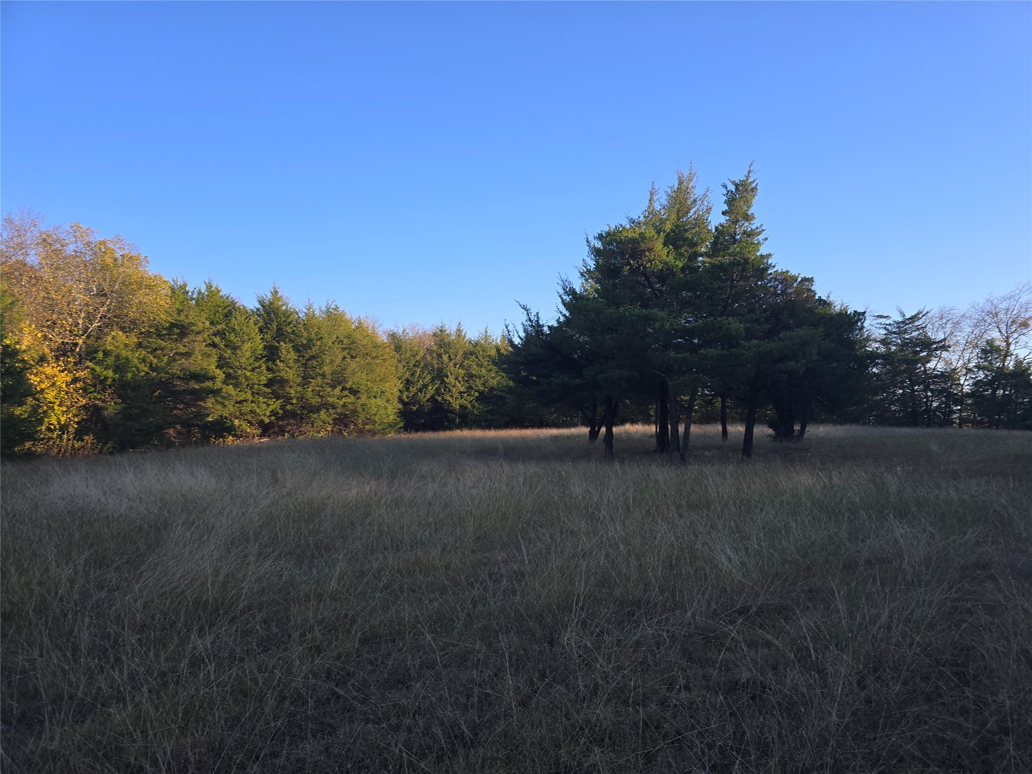 42Acres FM 38 TX, Honey Grove, TX, 75446