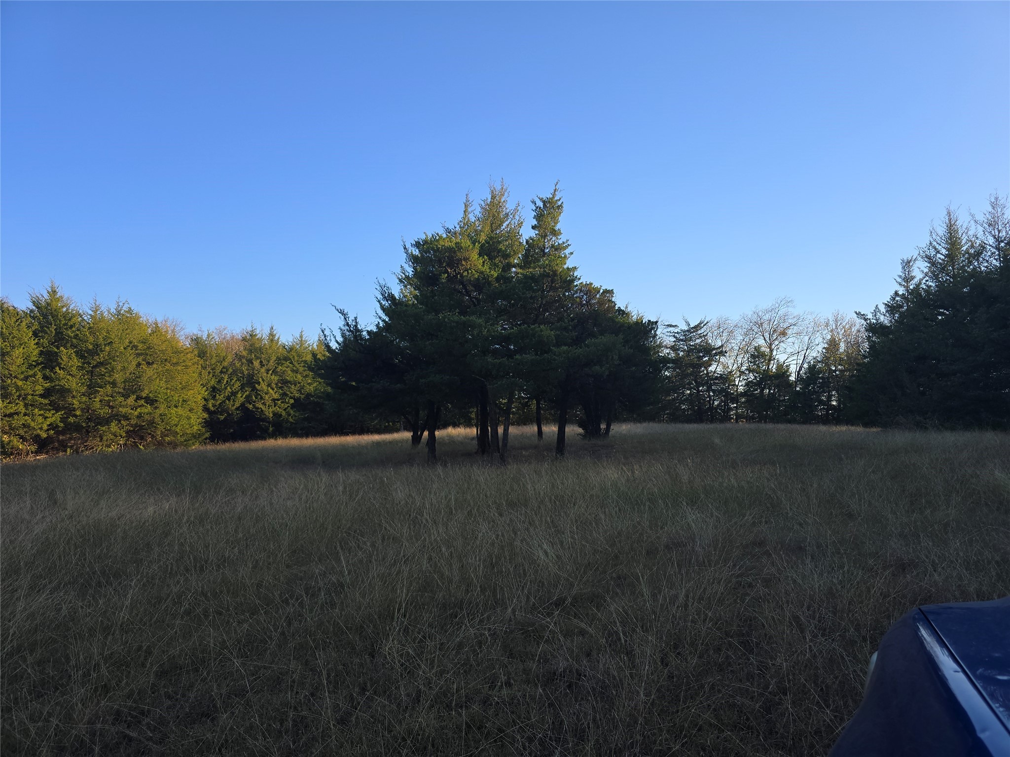 42Acres FM 38 TX, Honey Grove, TX, 75446