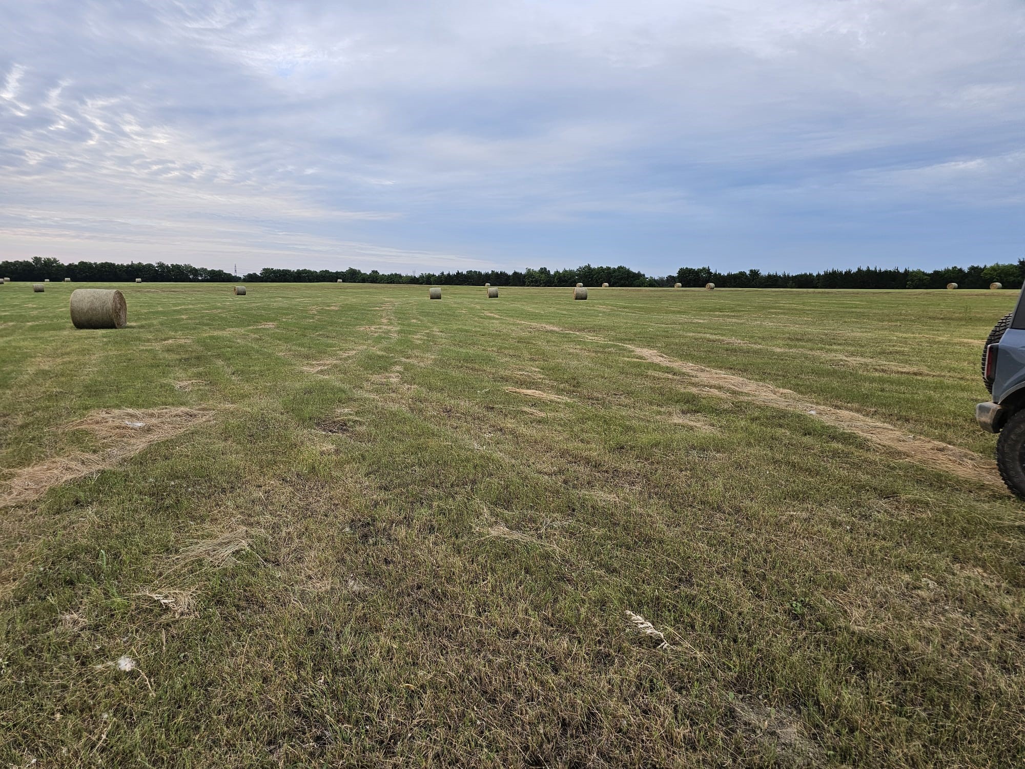 42Acres FM 38 TX, Honey Grove, TX, 75446