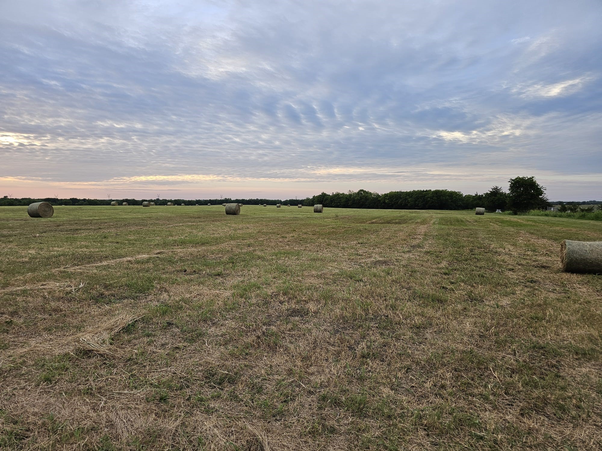 42Acres FM 38 TX, Honey Grove, TX, 75446