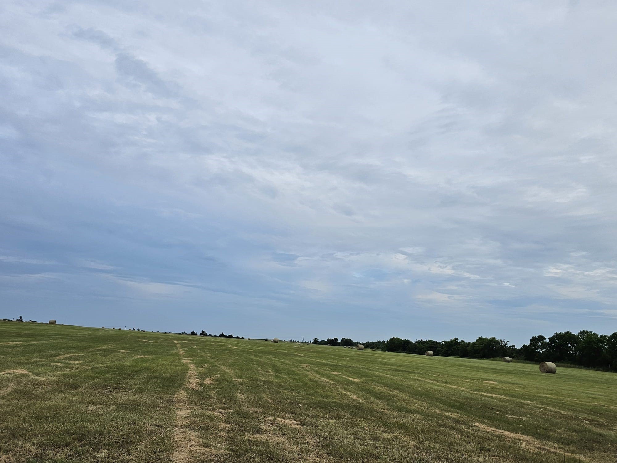 42Acres FM 38 TX, Honey Grove, TX, 75446