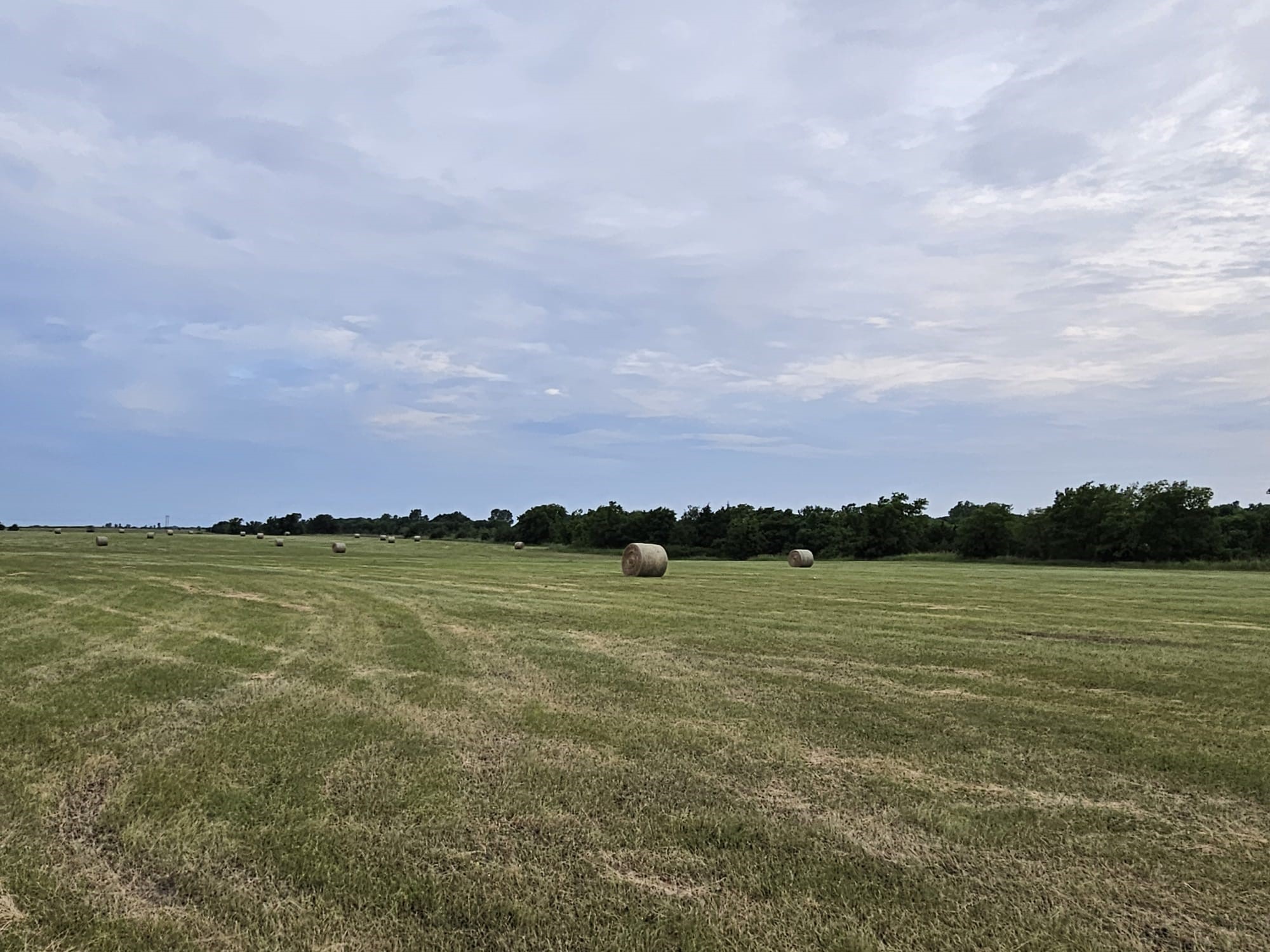 42Acres FM 38 TX, Honey Grove, TX, 75446