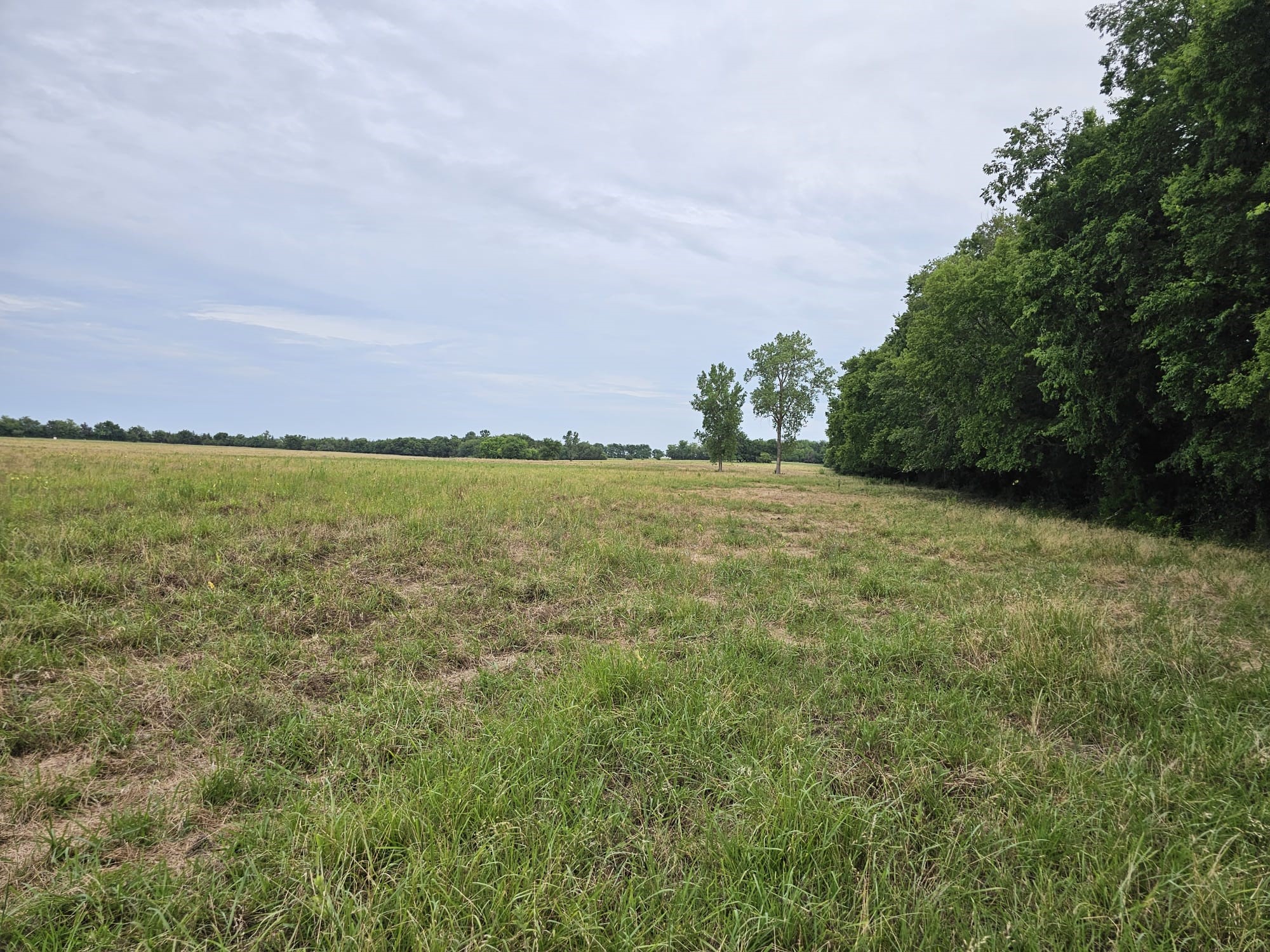 42Acres FM 38 TX, Honey Grove, TX, 75446