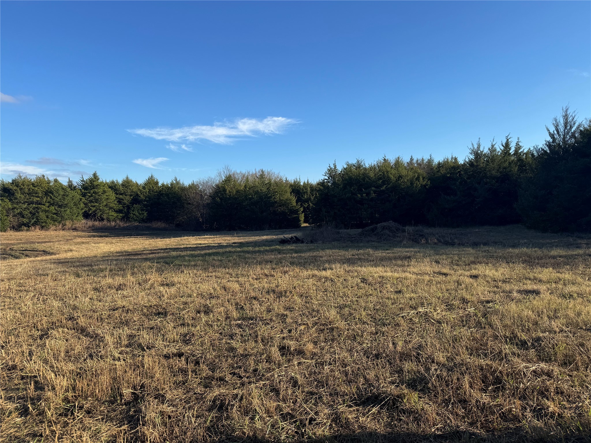 37.50 Acres FARM ROAD 38, Honey Grove, TX, 75446
