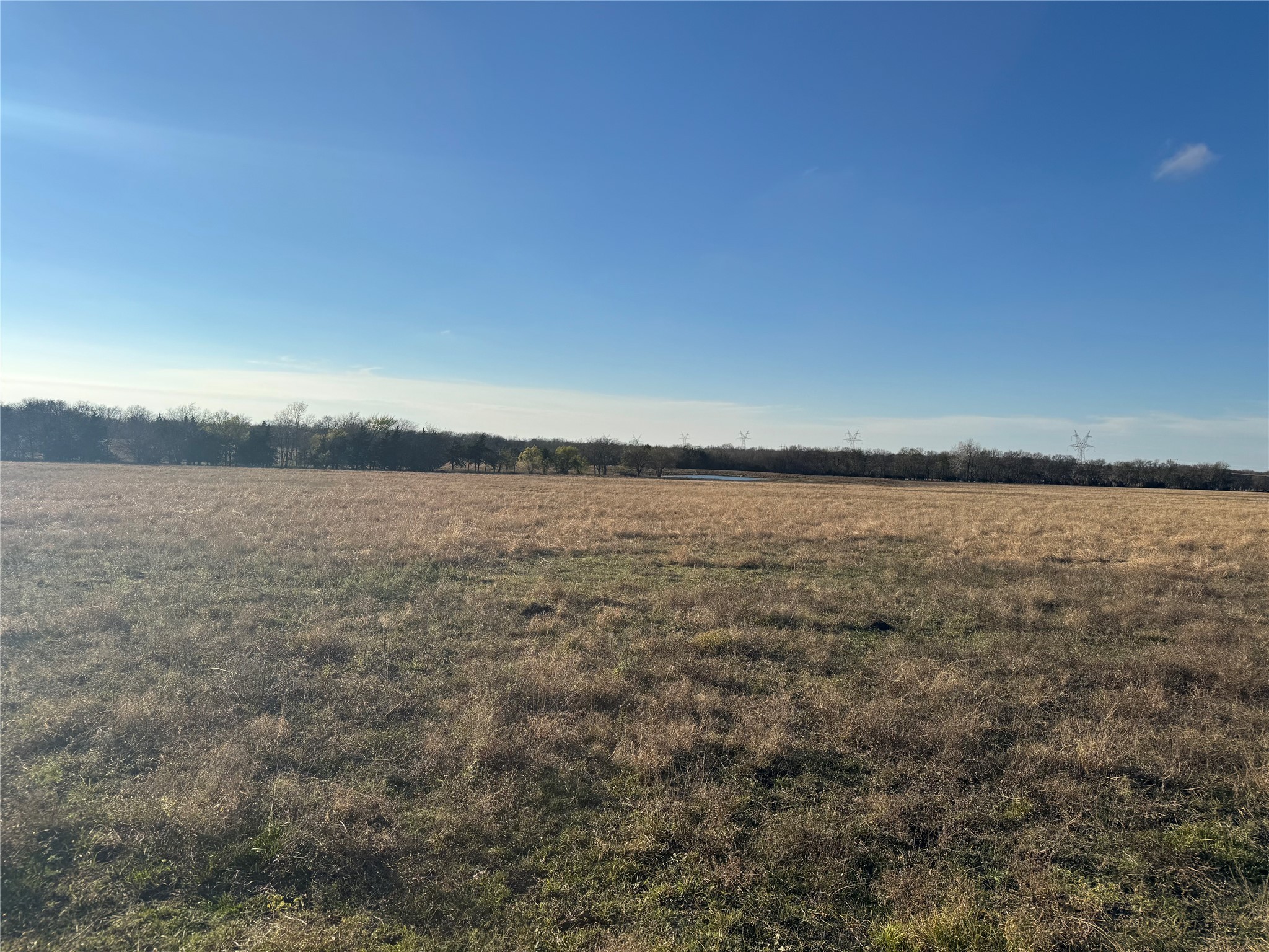 37.50 Acres FARM ROAD 38, Honey Grove, TX, 75446