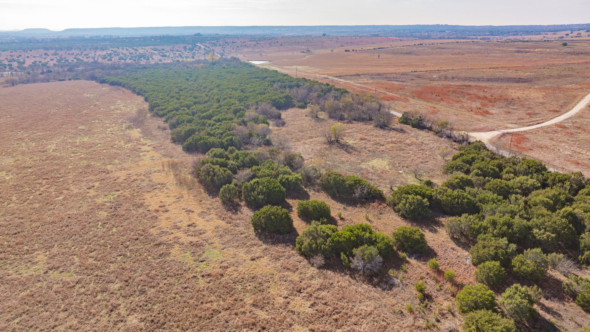 TBD Tx-220, Stephenville, TX, 76401