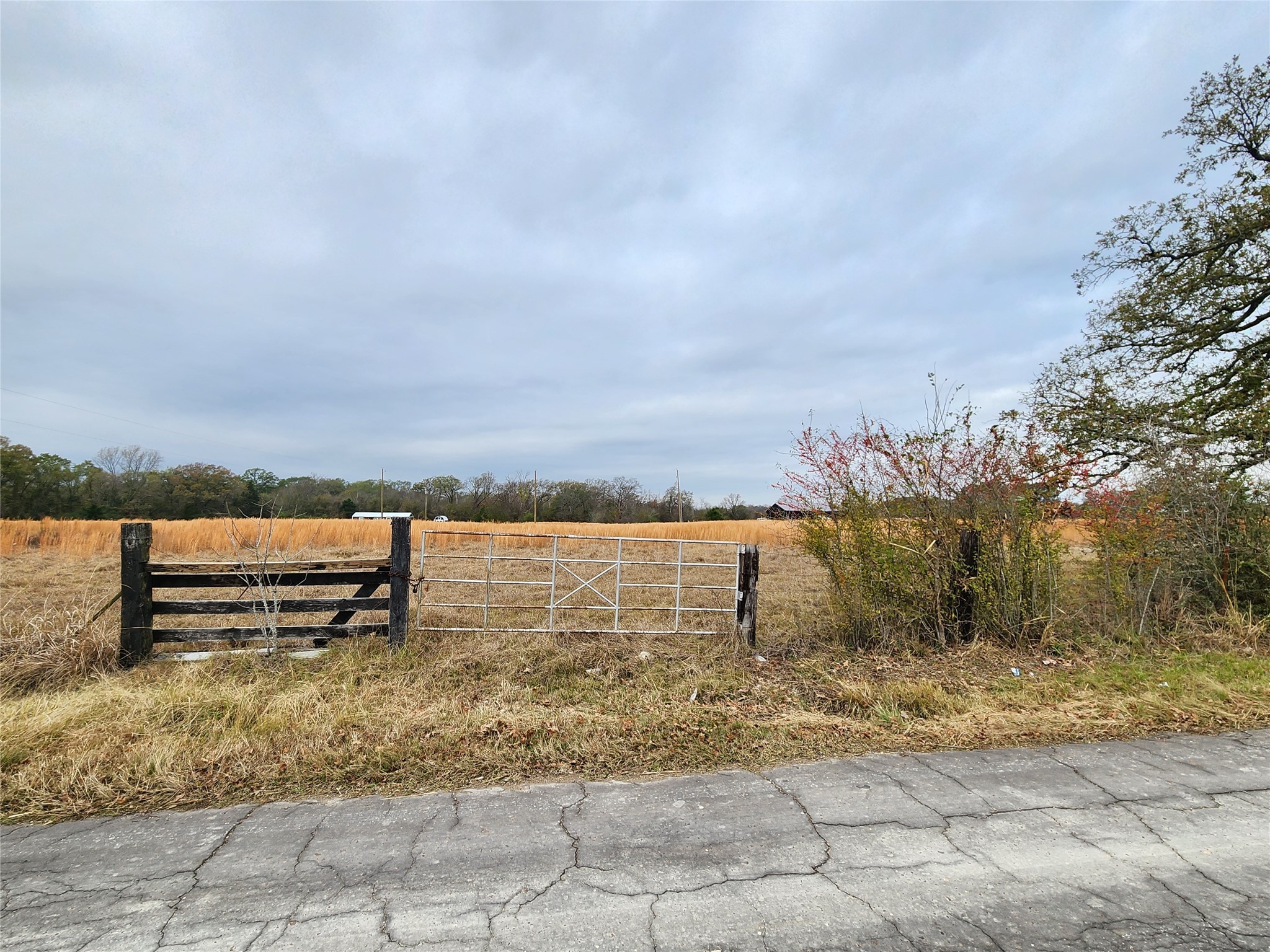 Property photo 02 of TBD CR 2230, Mineola, TX 75773 | MLS #21124892