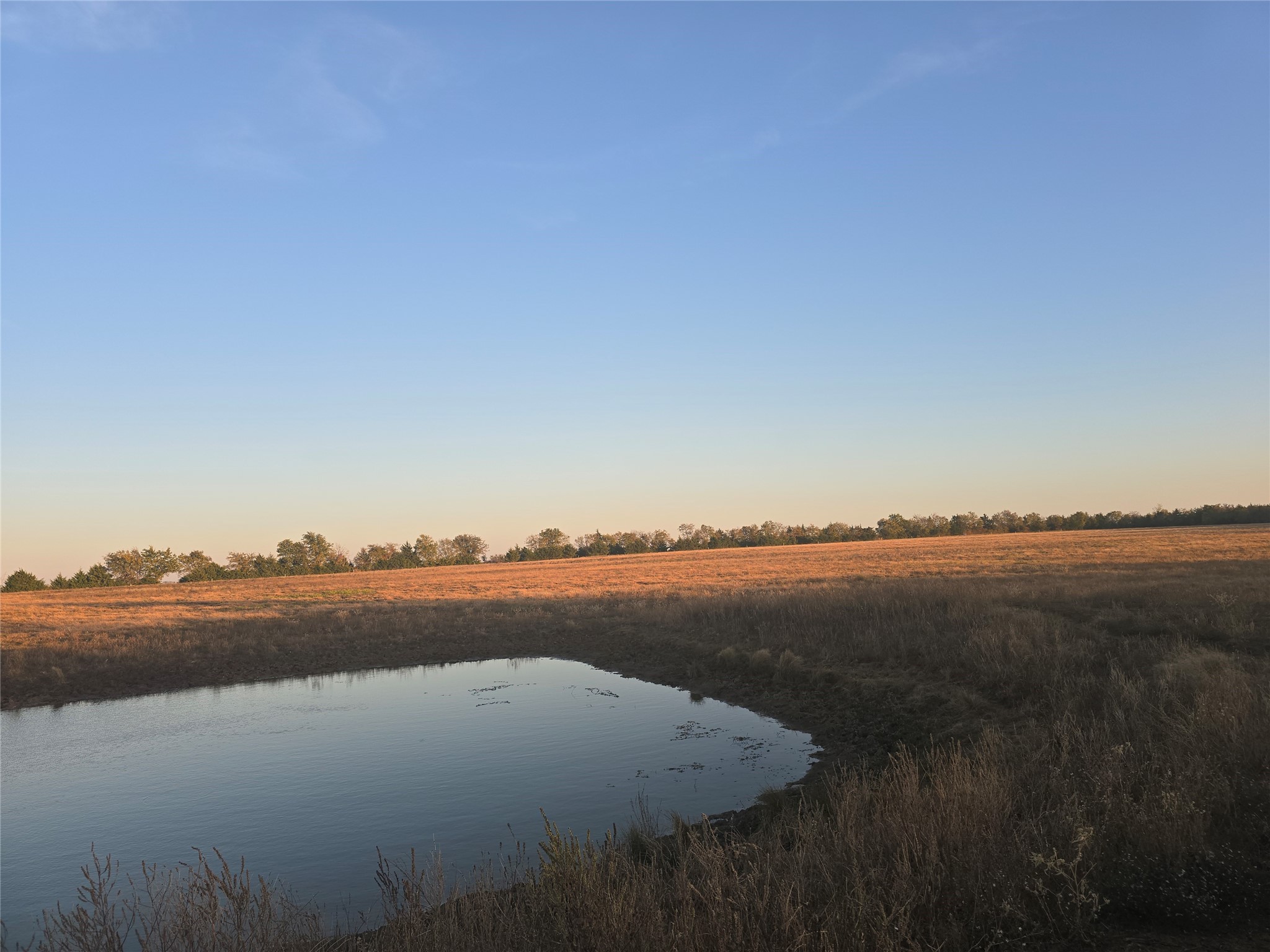 Property photo 02 of 801 COUNTY ROAD 36010 Honey, Grove, TX 75446 | MLS #21126279