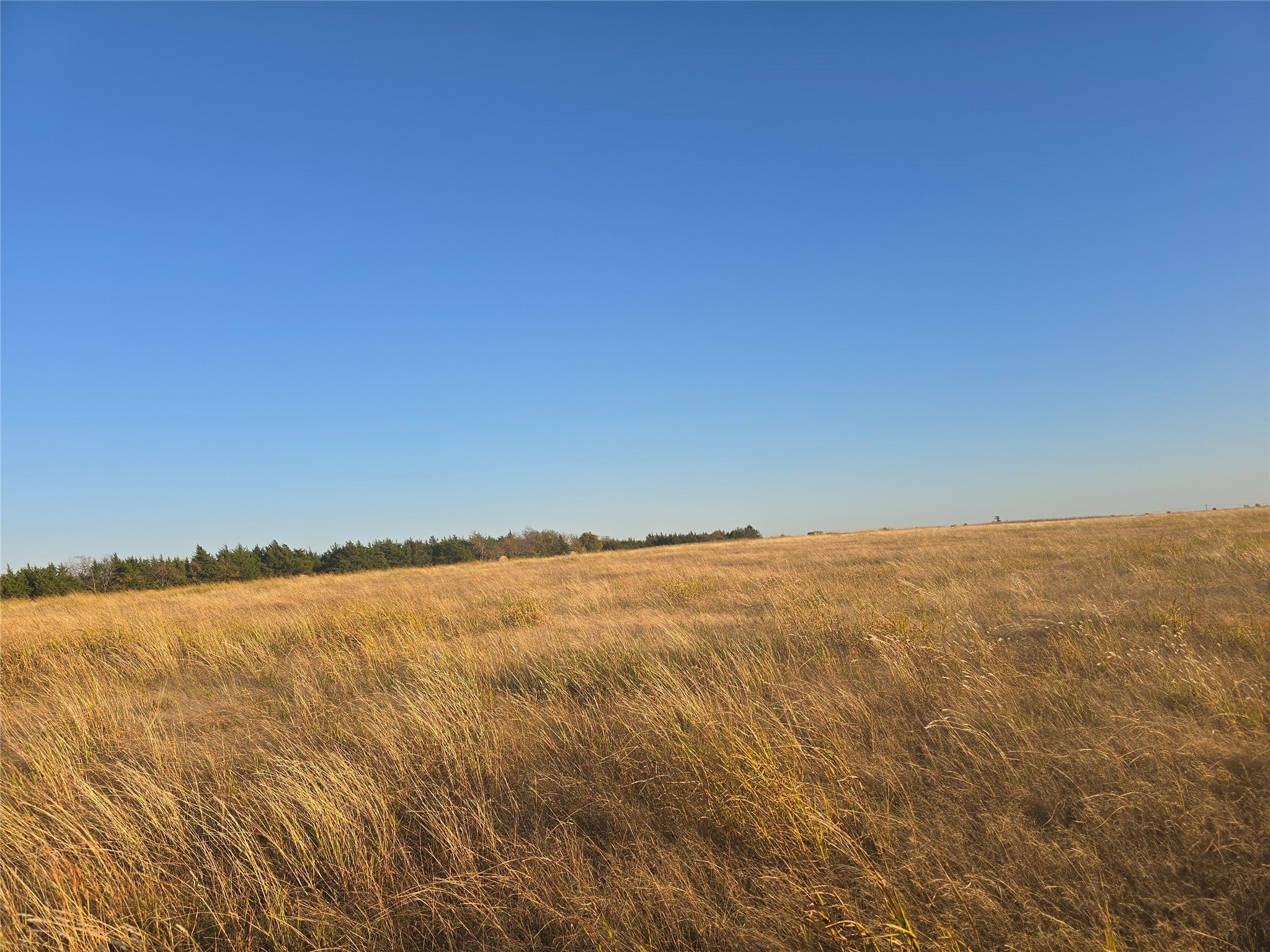Property photo 04 of 801 COUNTY ROAD 36010 Honey, Grove, TX 75446 | MLS #21126279