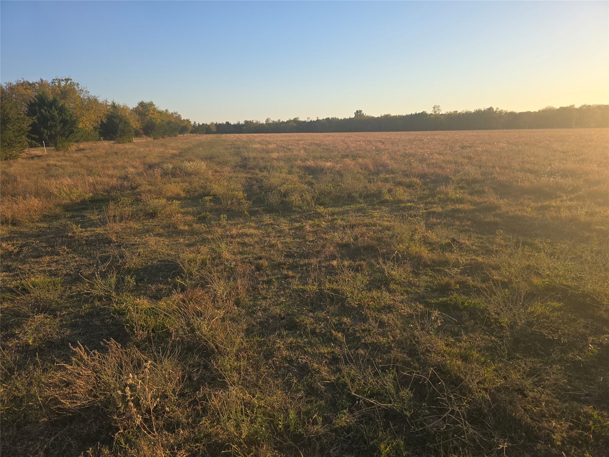 801 COUNTY ROAD 36010, Honey Grove, TX, 75446