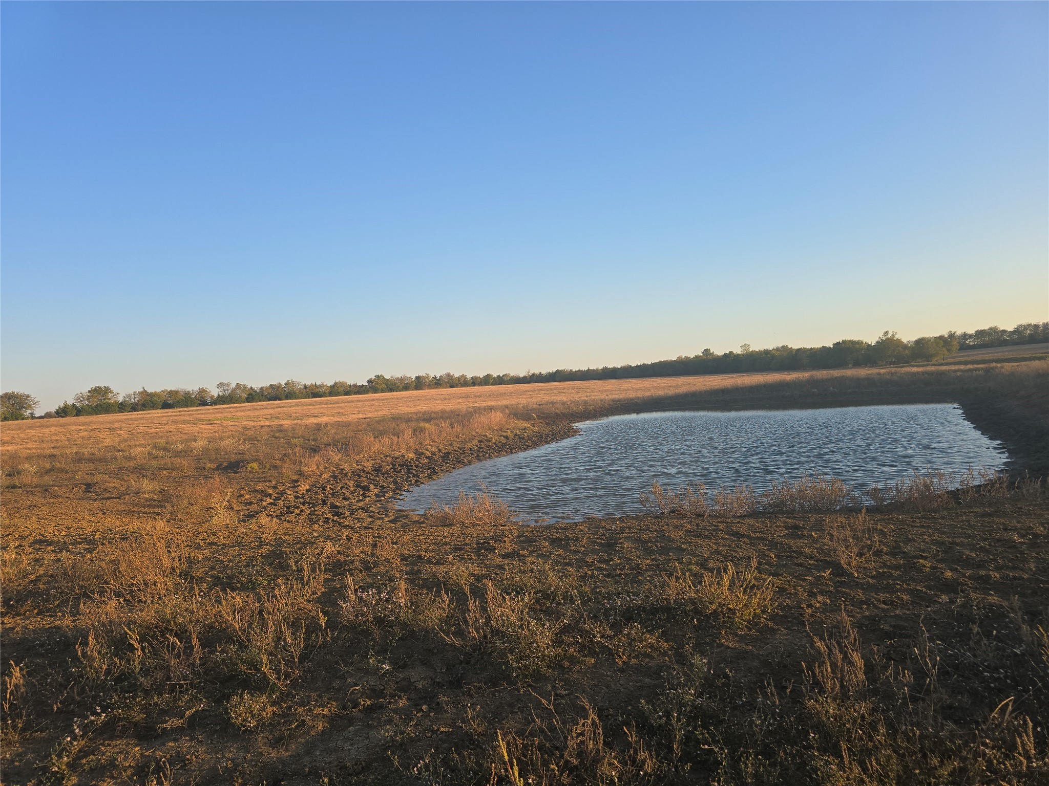 801 COUNTY ROAD 36010, Honey Grove, TX, 75446