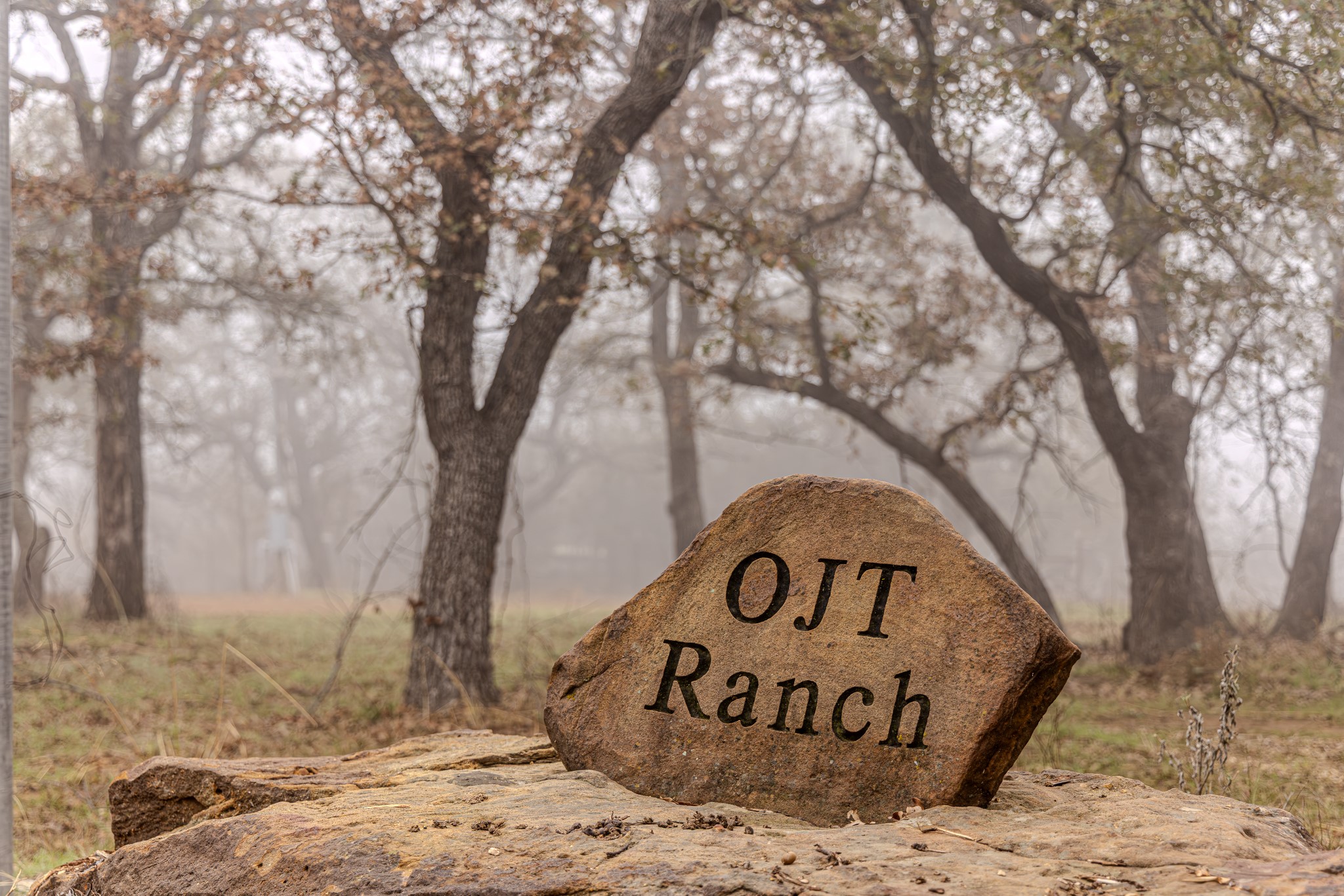 2946 FM 52, Graford, TX, 76449