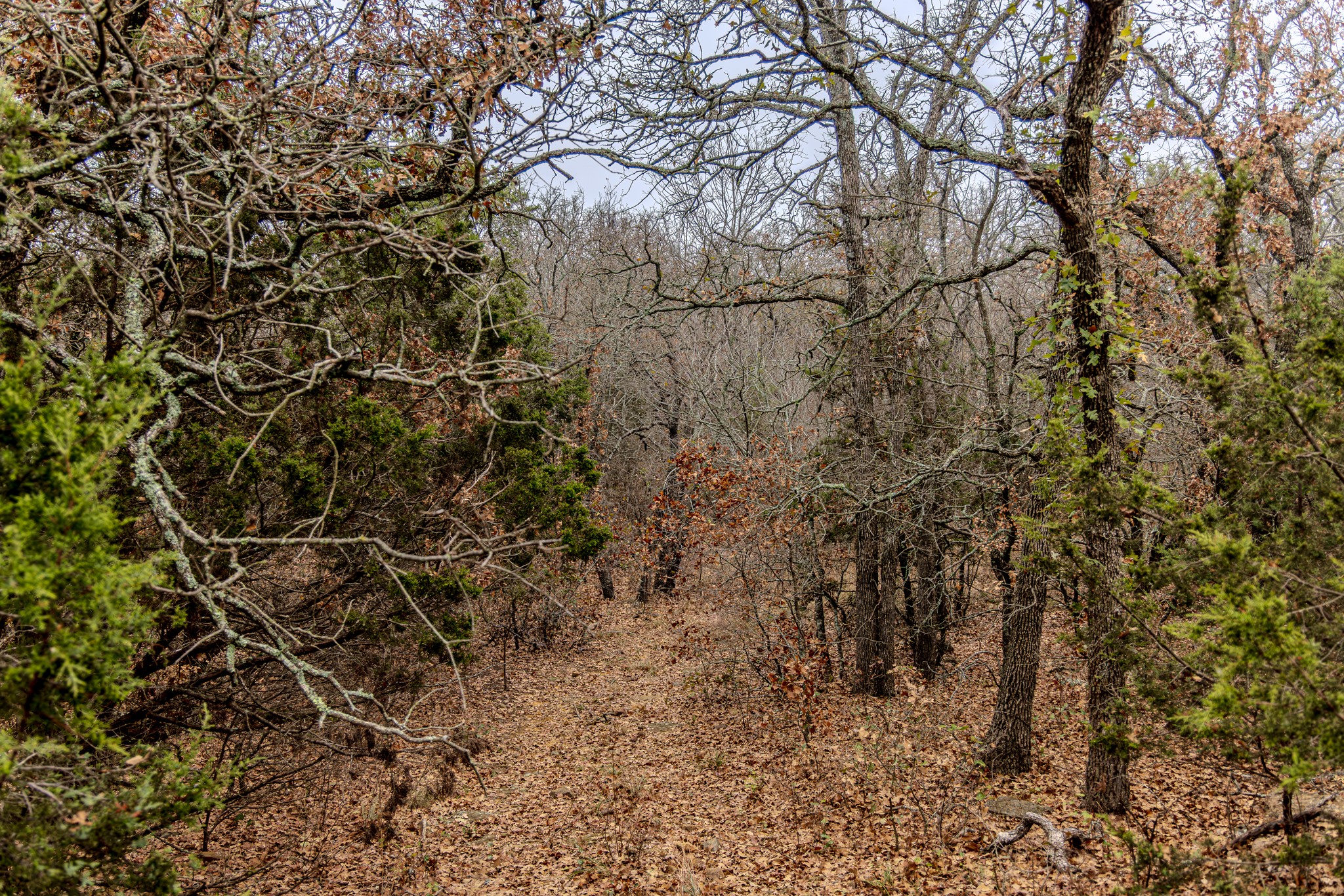 2946 FM 52, Graford, TX, 76449
