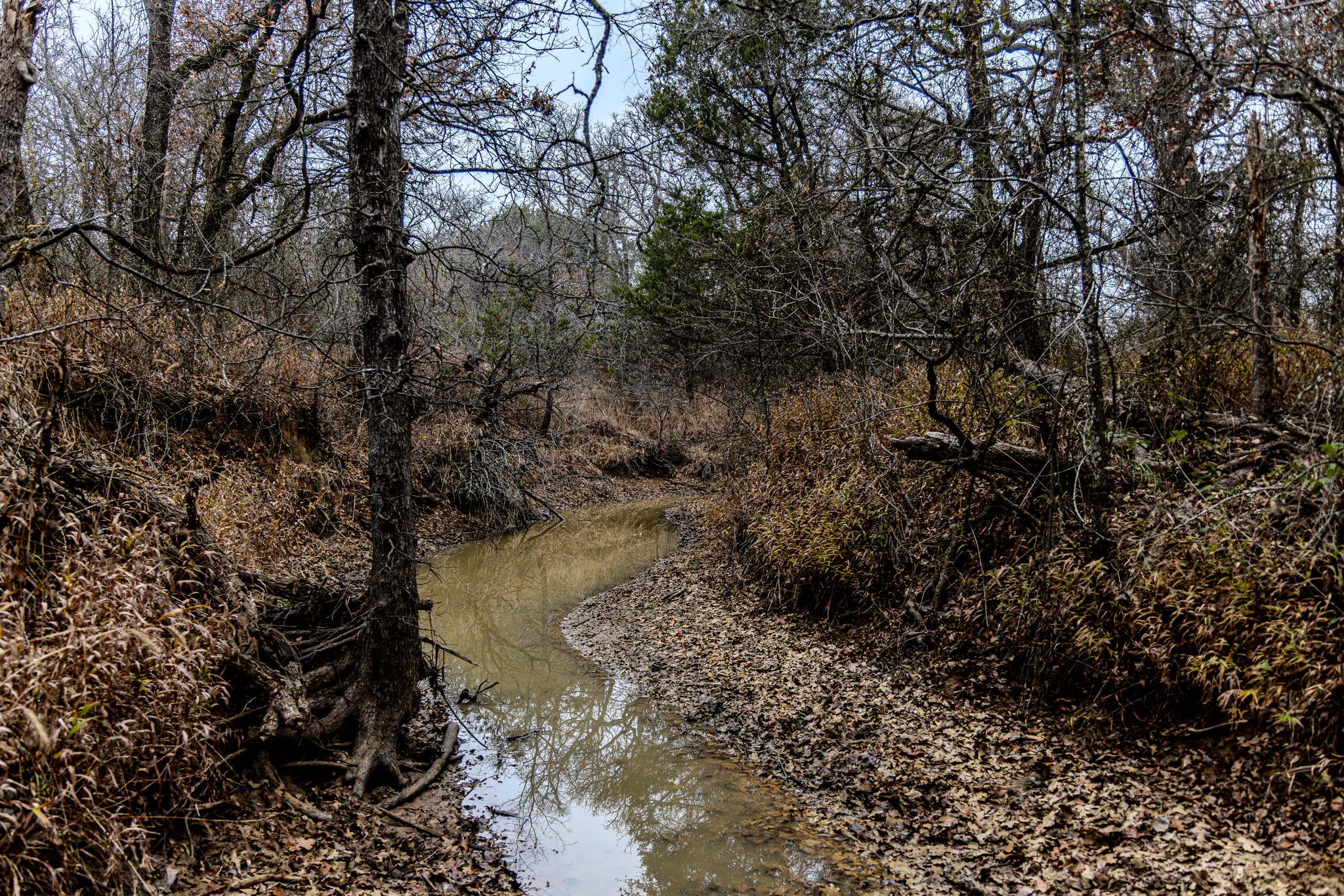 2946 FM 52, Graford, TX, 76449