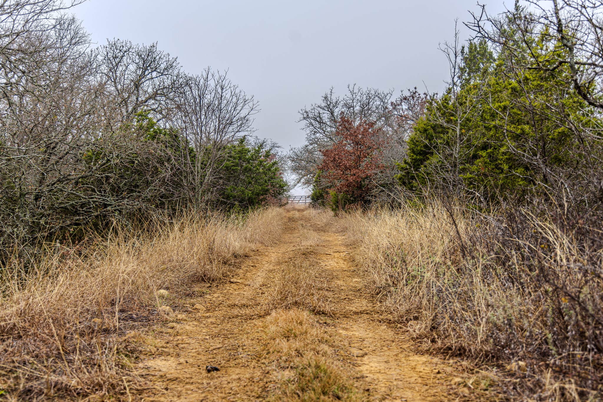 2946 FM 52, Graford, TX, 76449