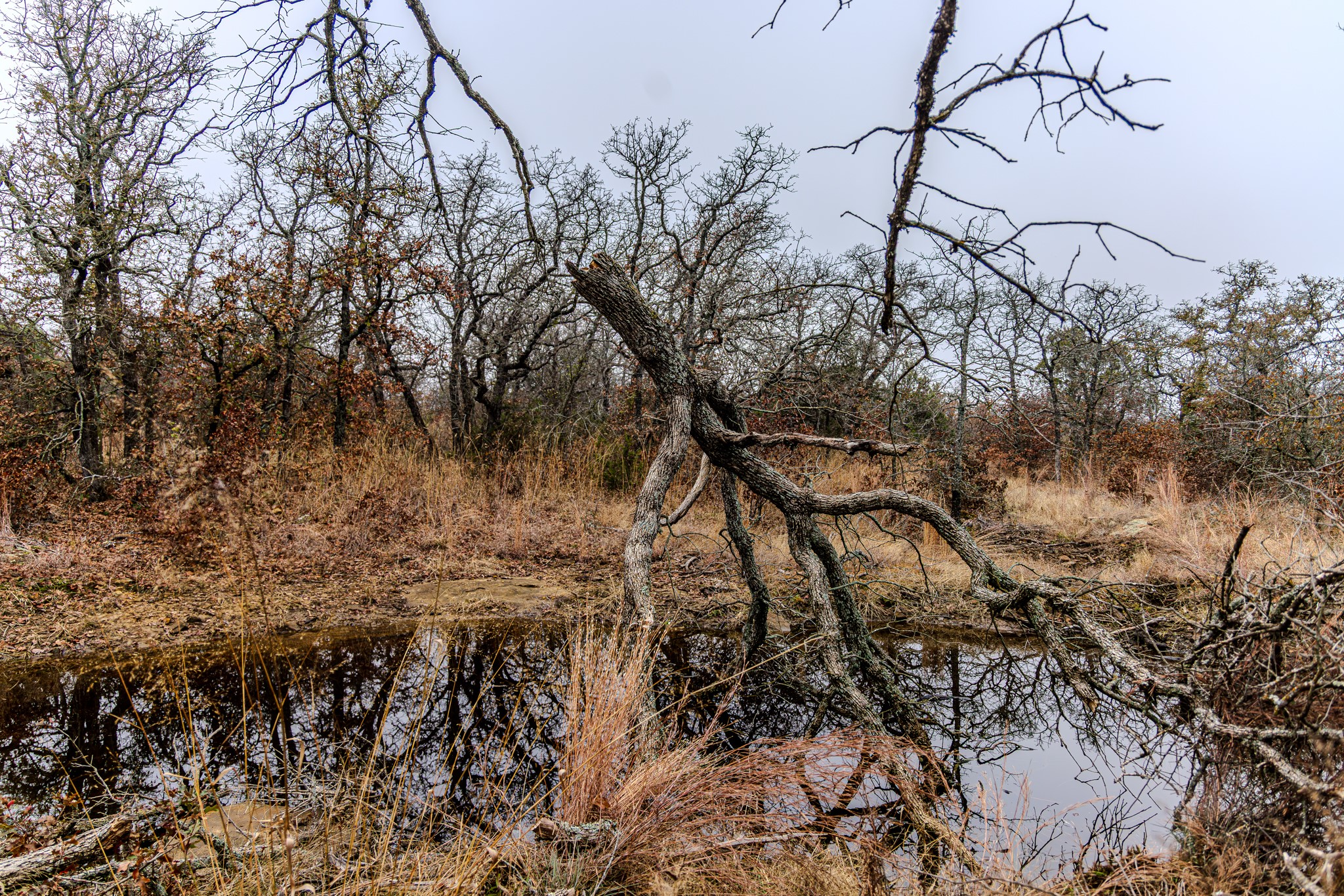2946 FM 52, Graford, TX, 76449