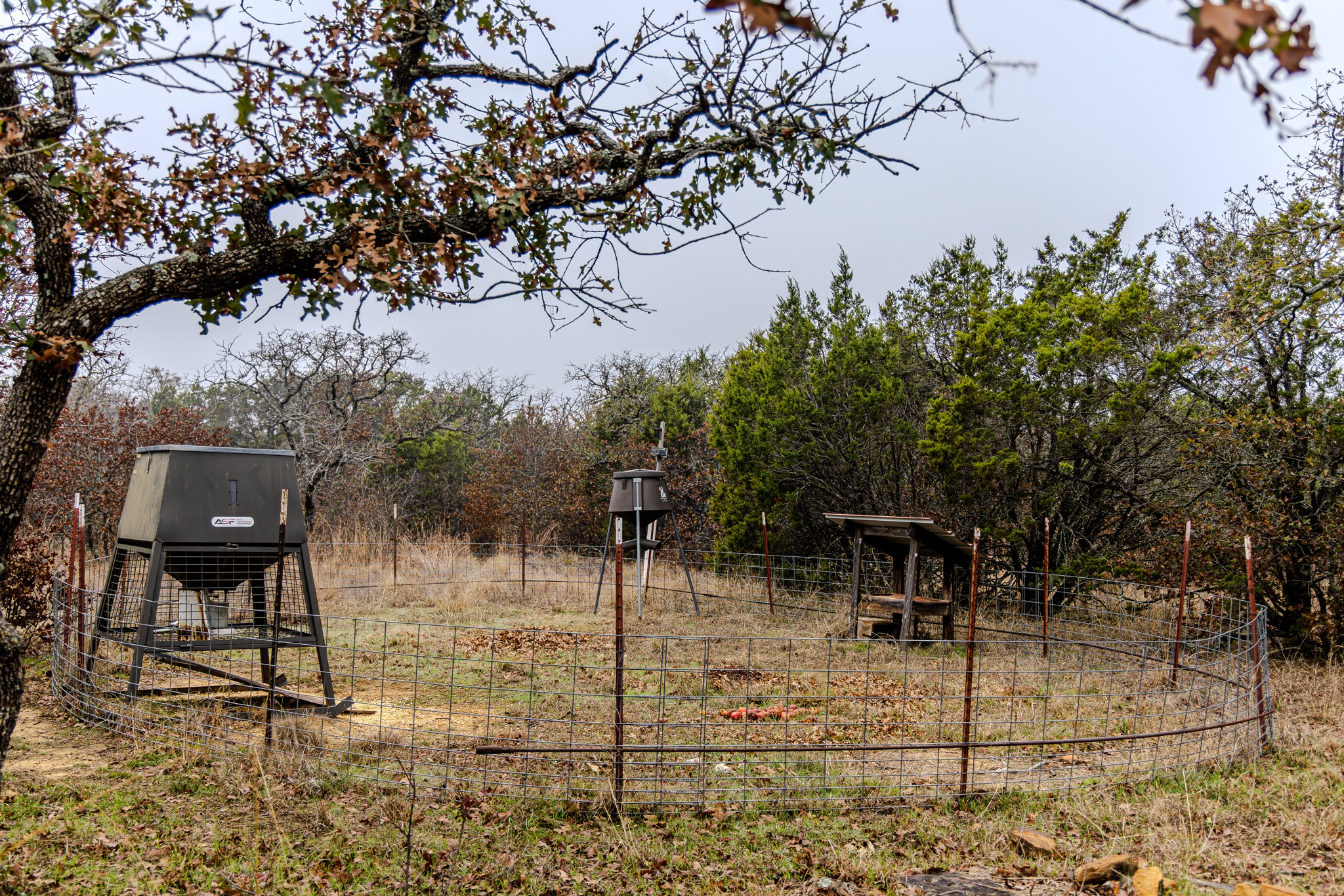 2946 FM 52, Graford, TX, 76449