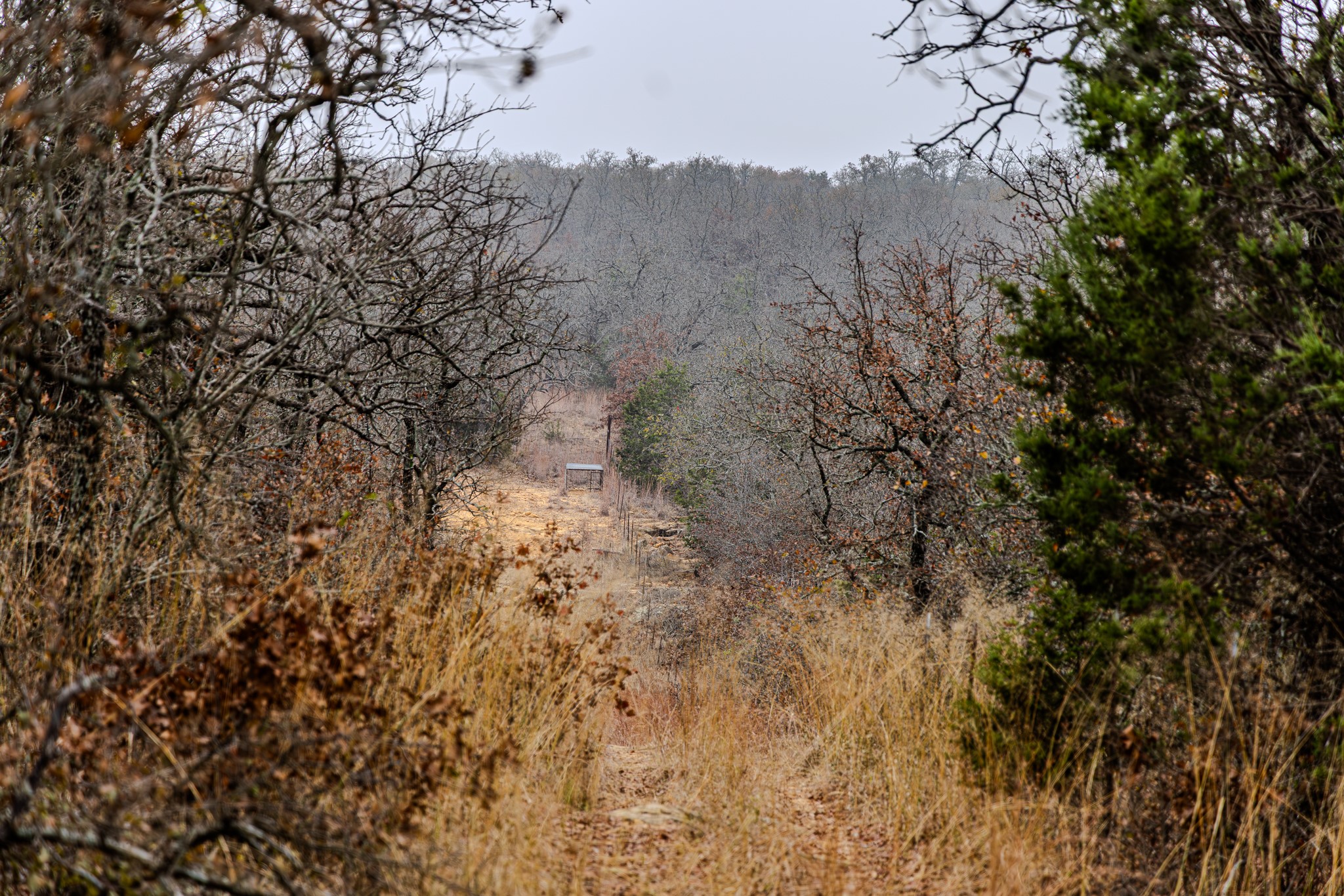 2946 FM 52, Graford, TX, 76449